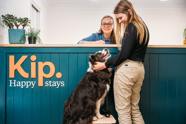 Dog boarding at KIP