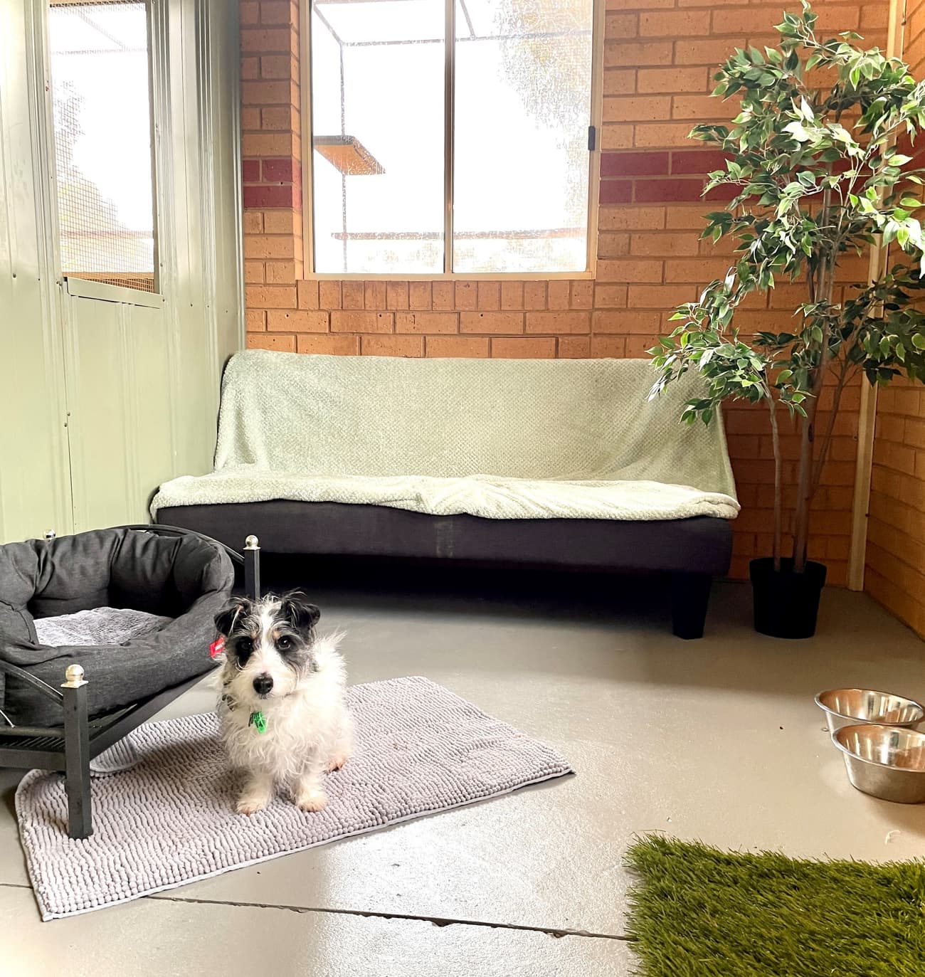 Suite - Seniors Only image