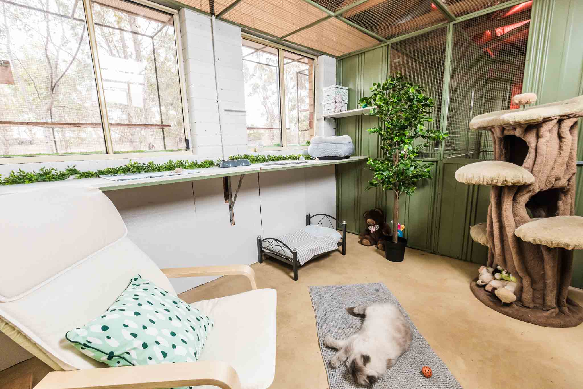 Cat Penthouse Suite image