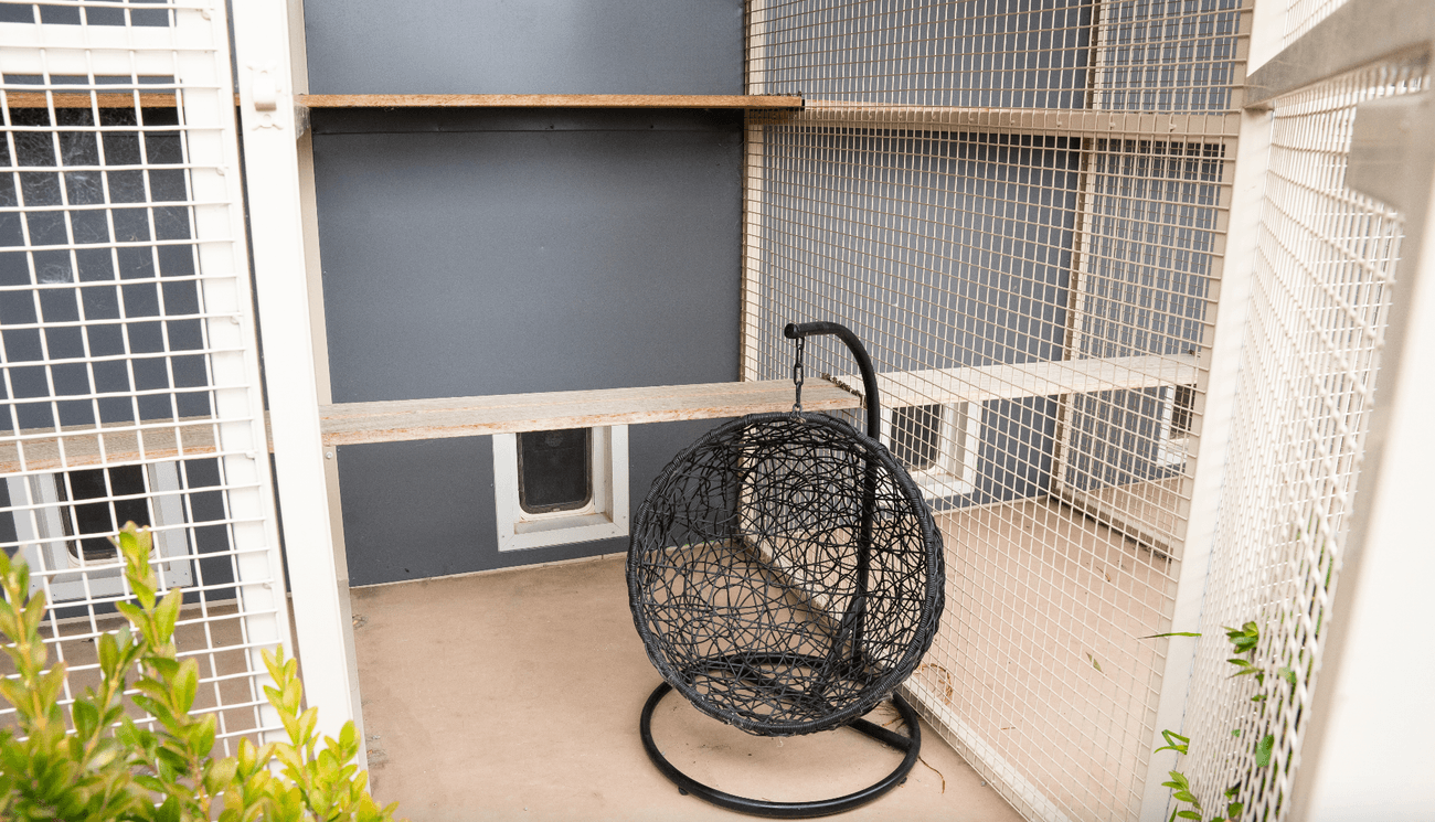 Cat Suite Inside/Outside image