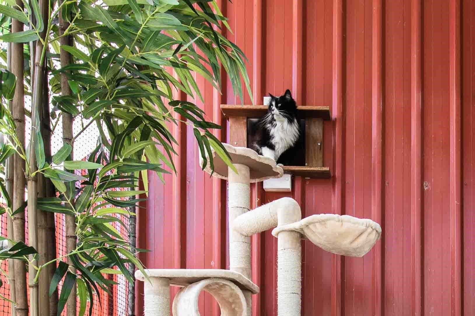 Penthouse Suite image