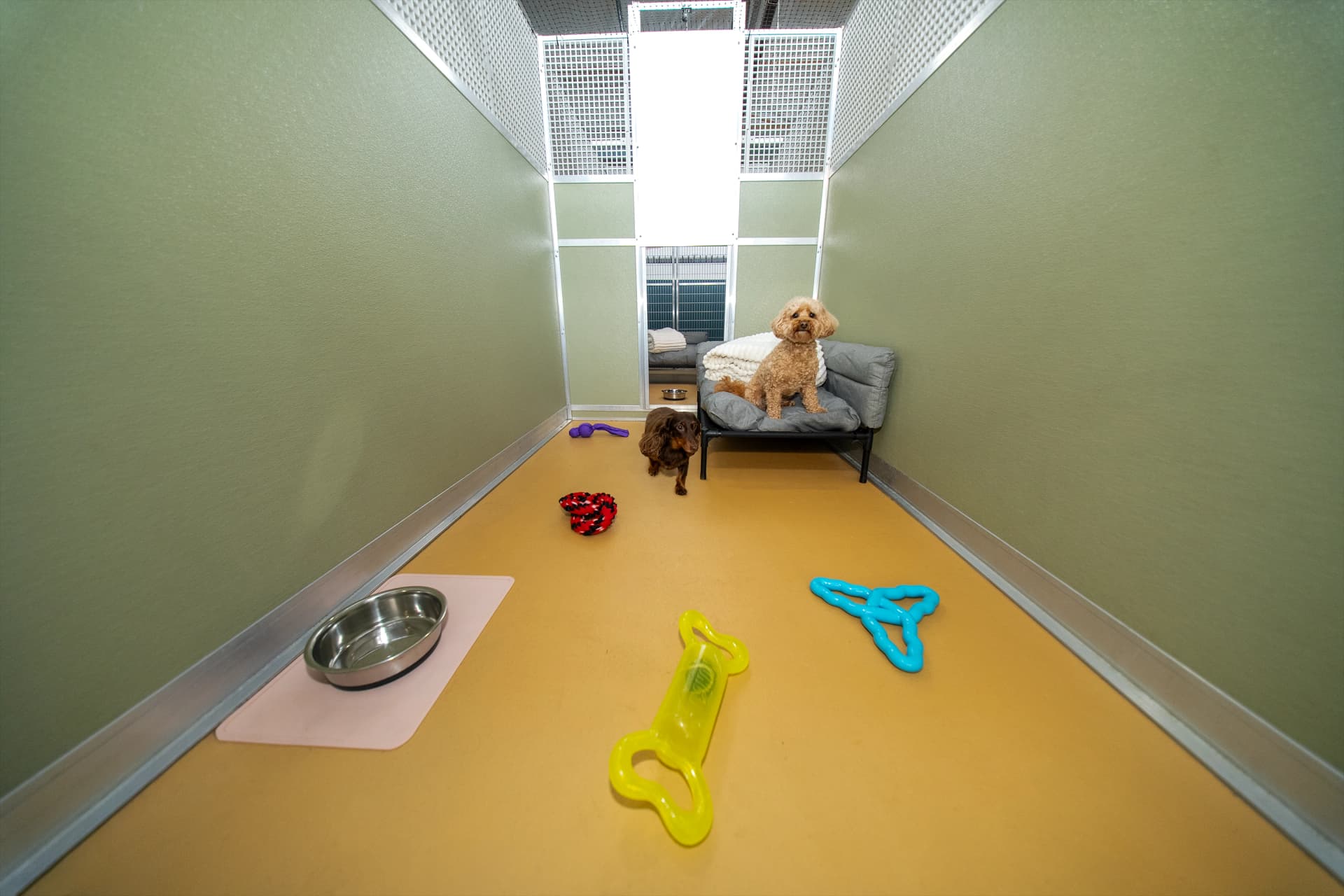 Classic Room image 3