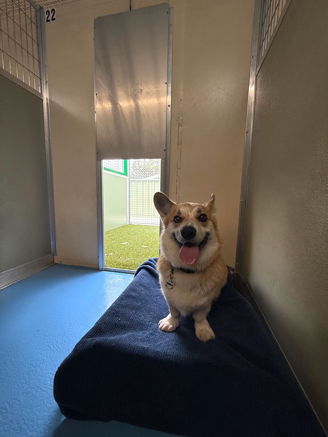 Classic Room (standard) image