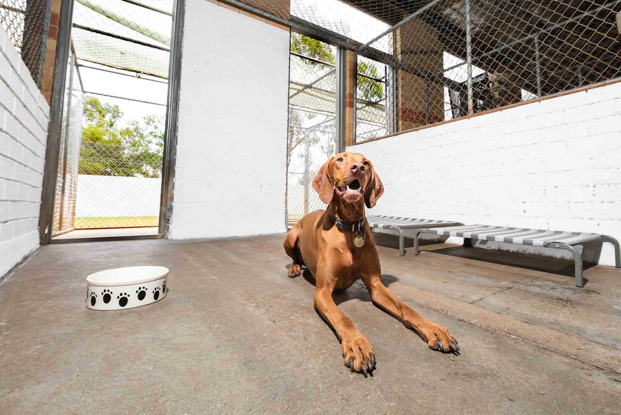 Classic Room (standard) image