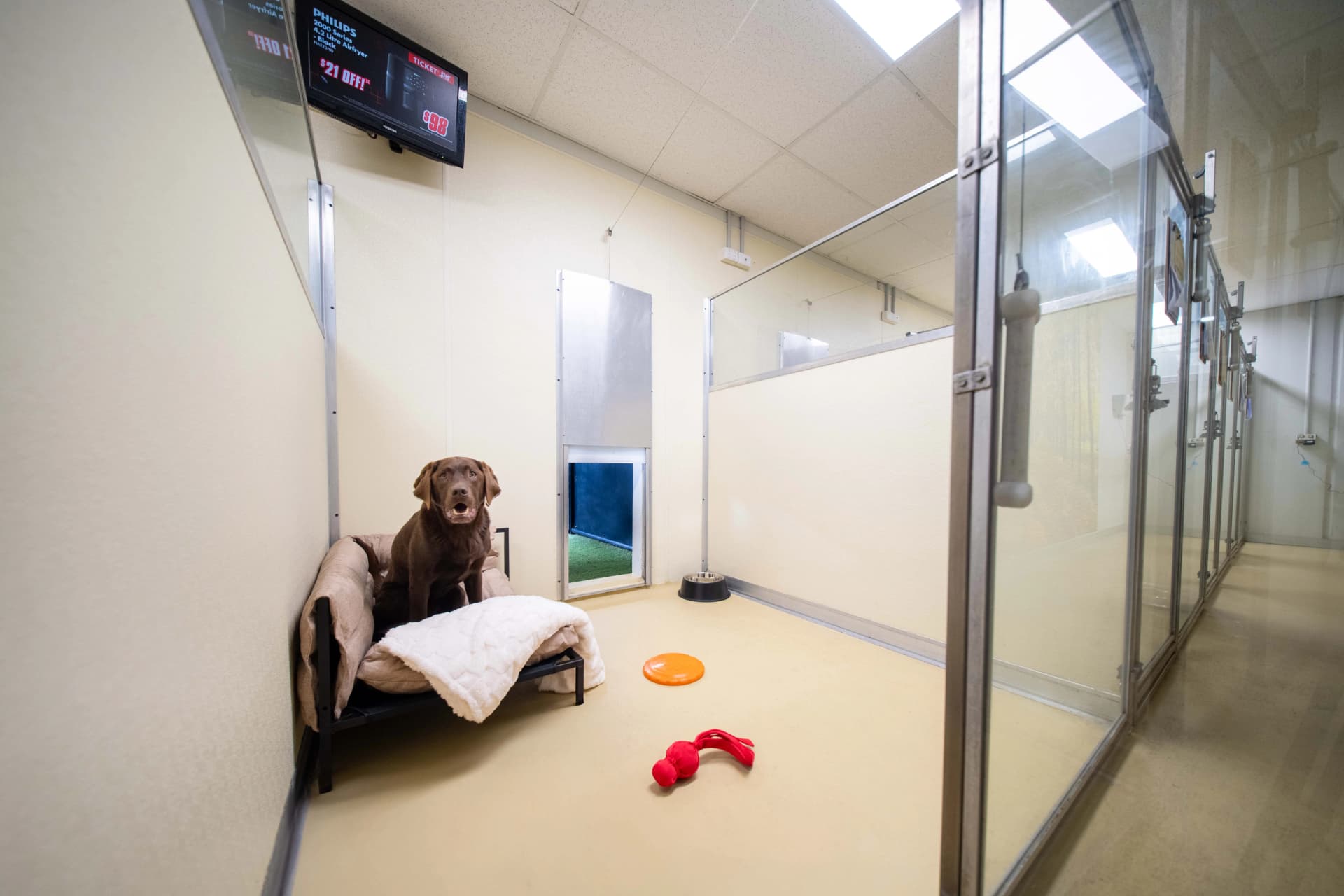 Penthouse Suite image 1