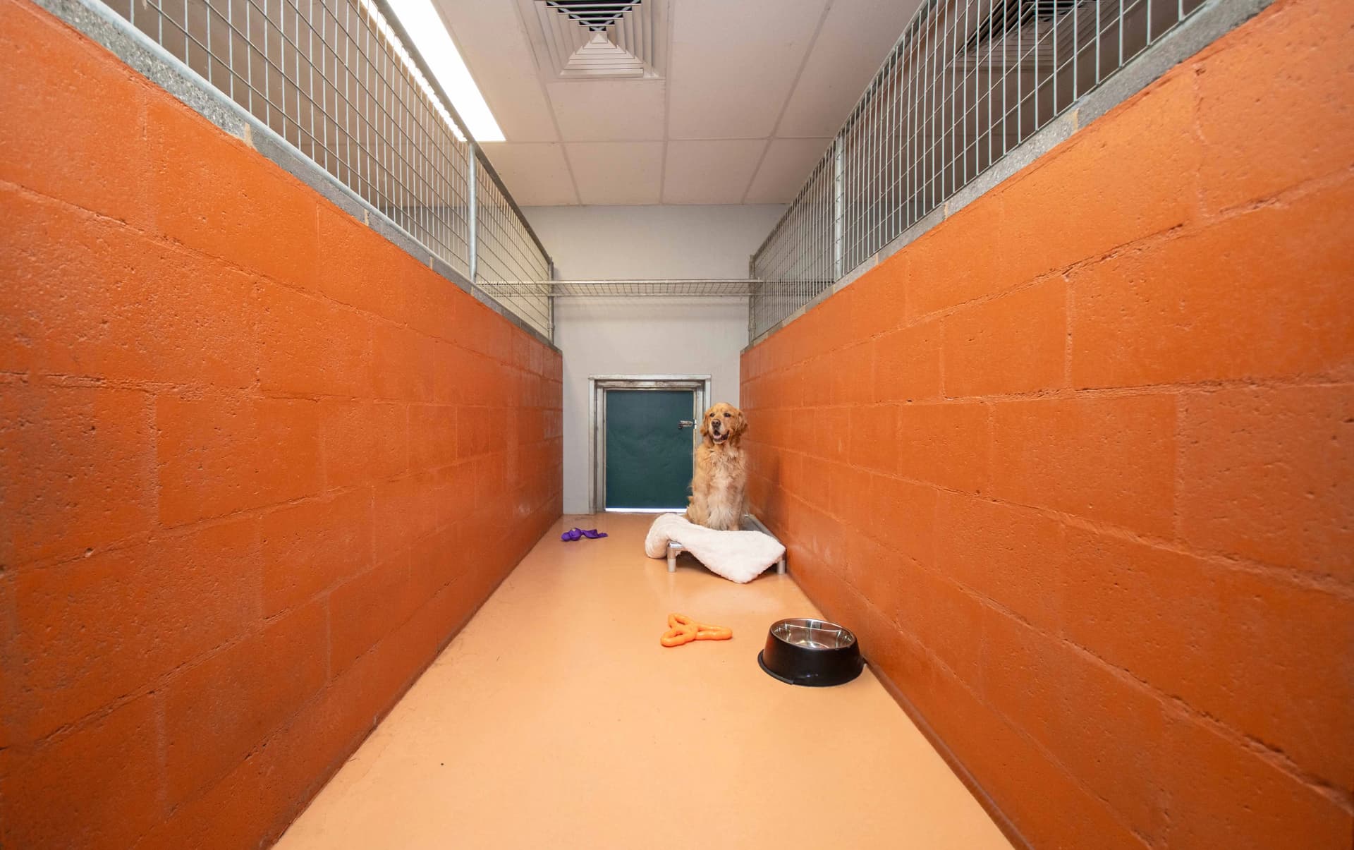 Classic Room image 2