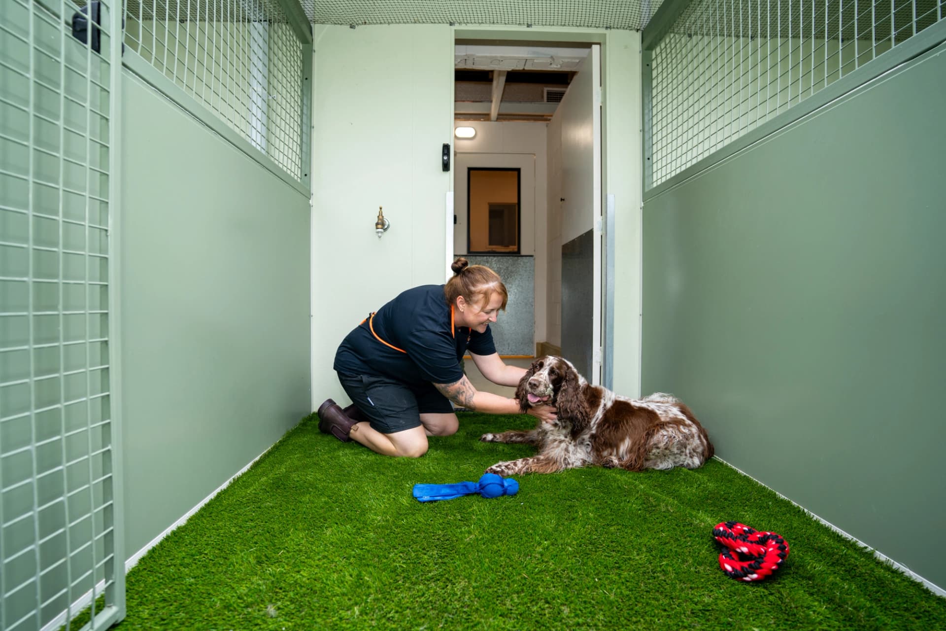 Luxury Suite image 2