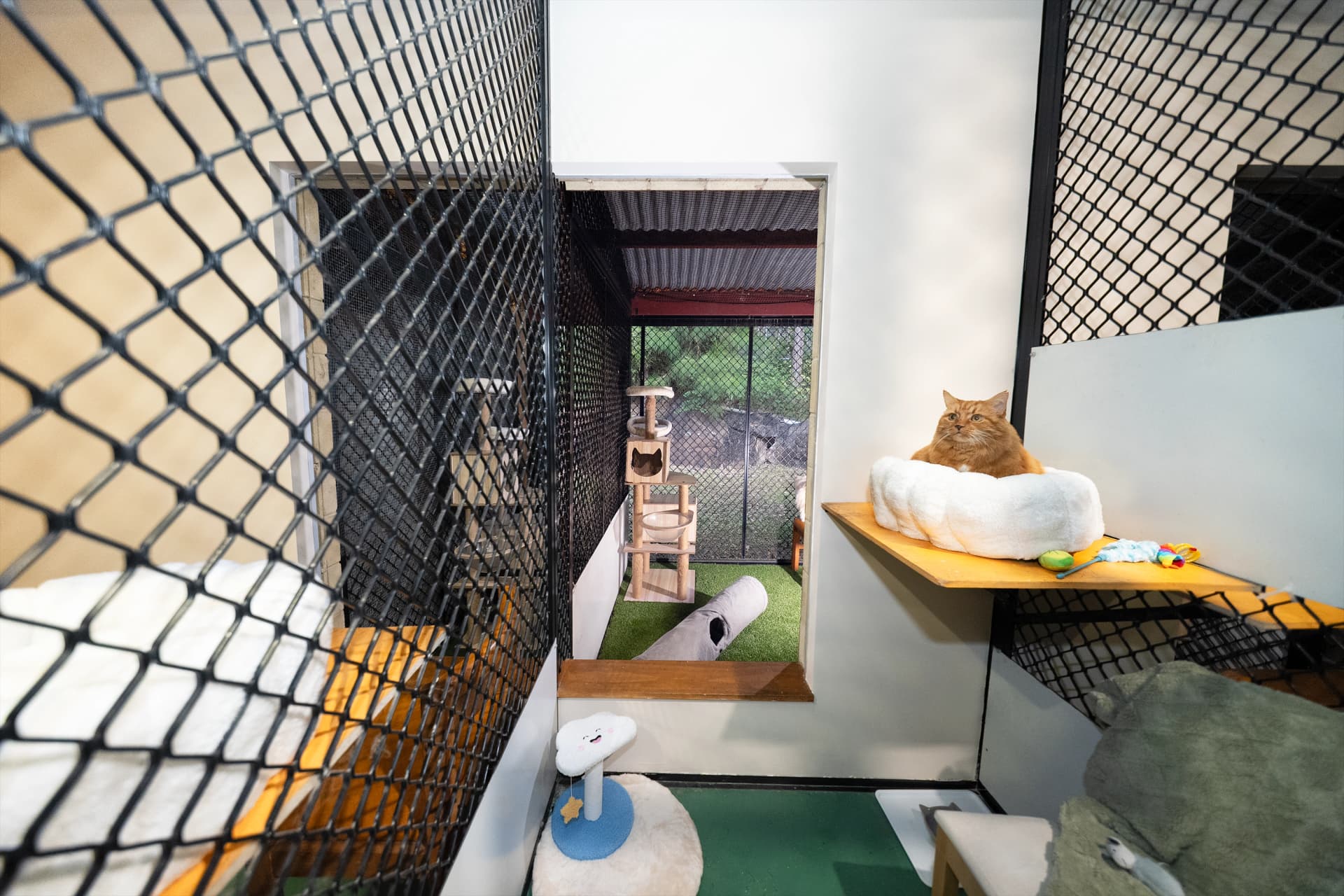 Penthouse Suite image