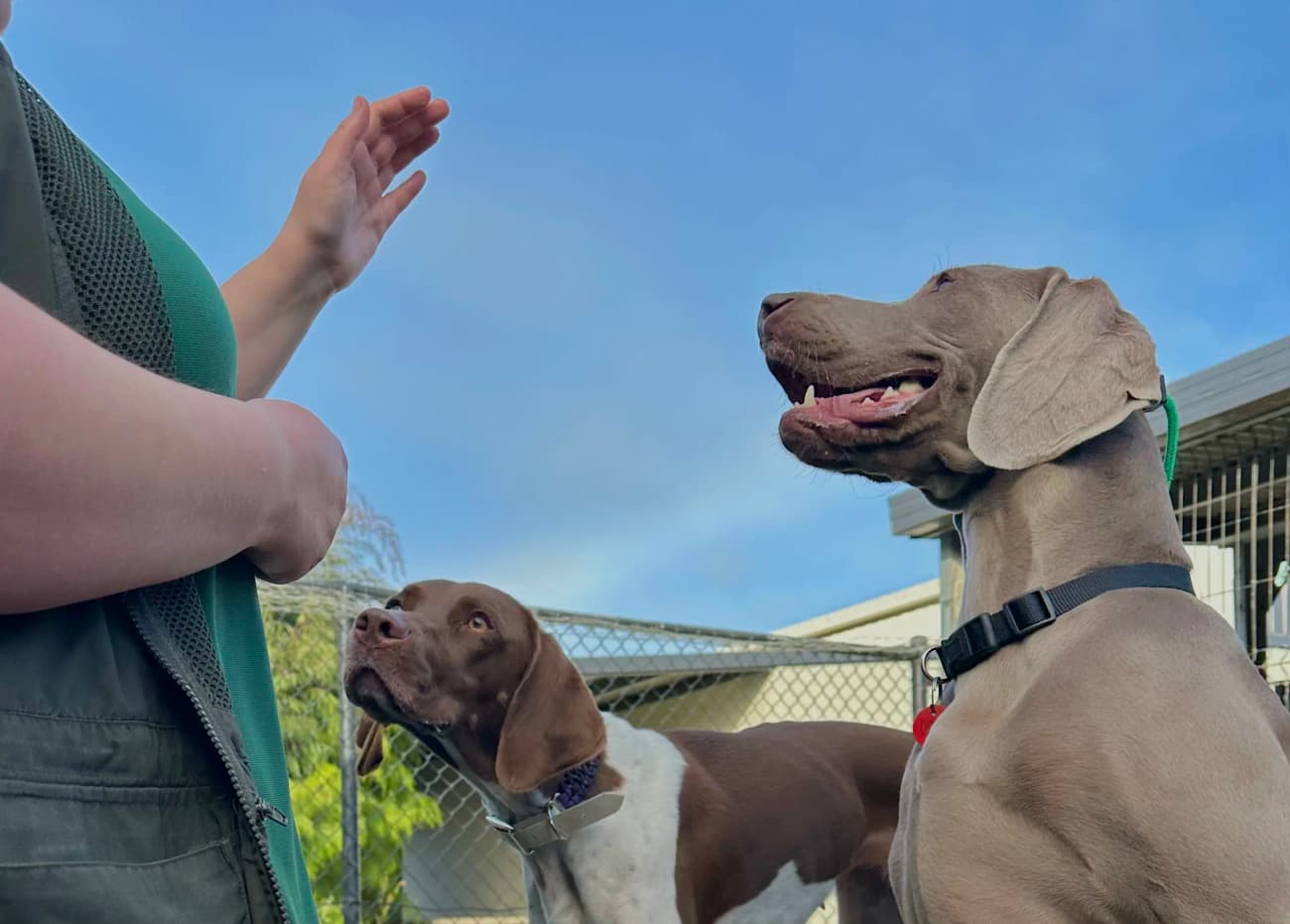 Daycare & Train image