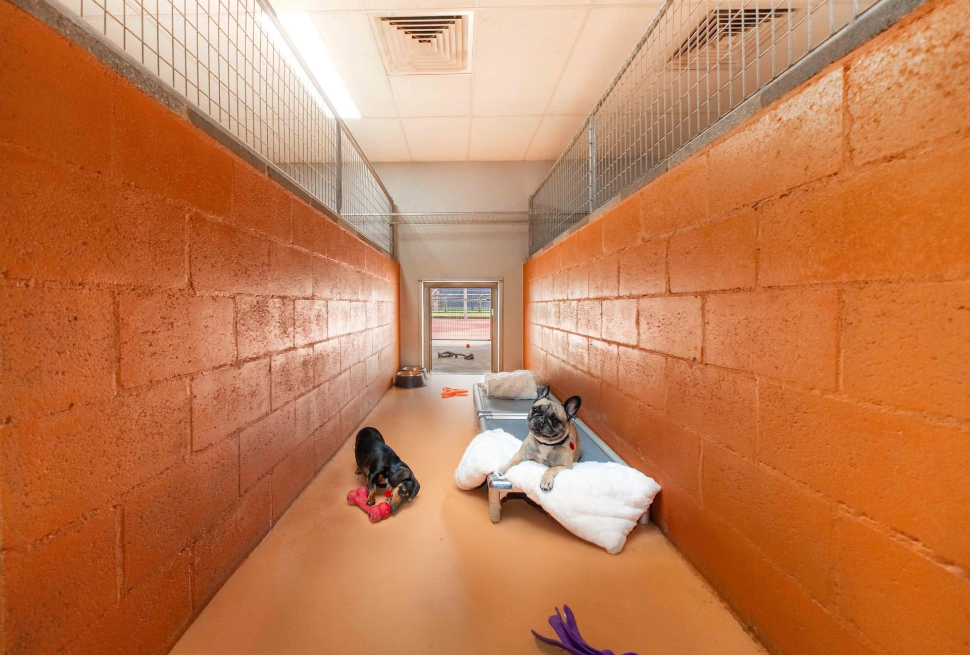 Classic Room image 3