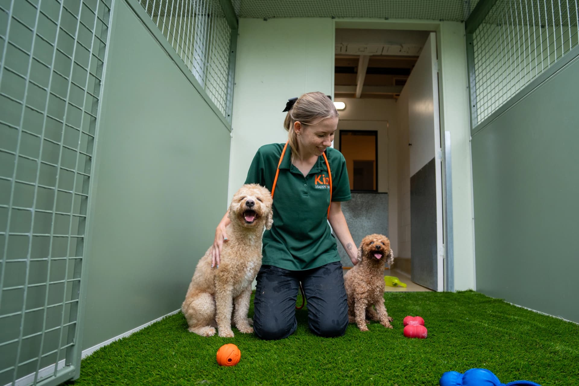 Luxury Suite image 4