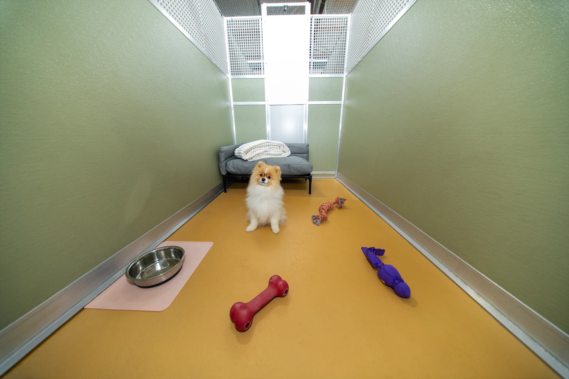 Classic Room image 1