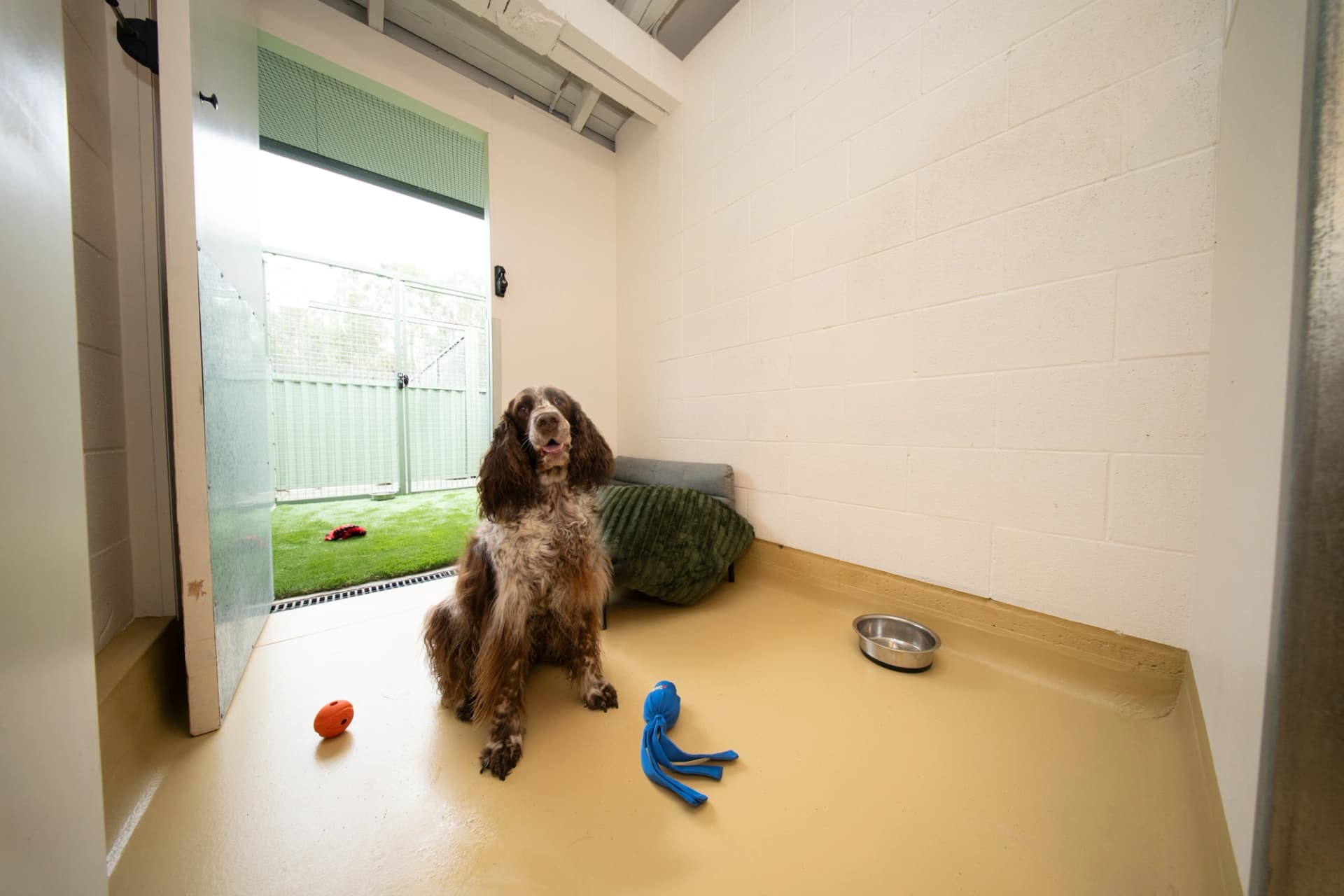 Luxury Suite image 1