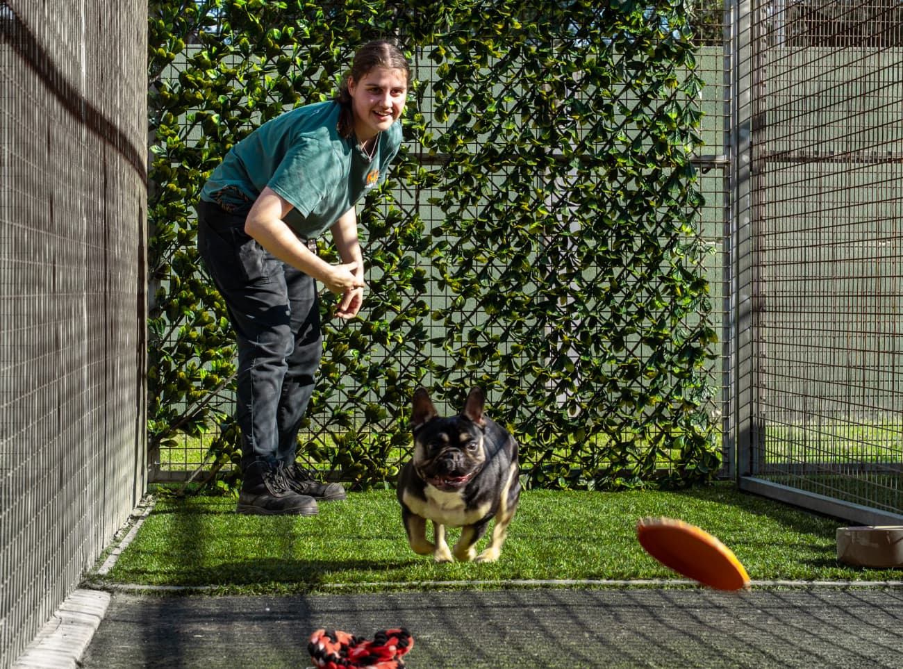 Luxury Villa image 4