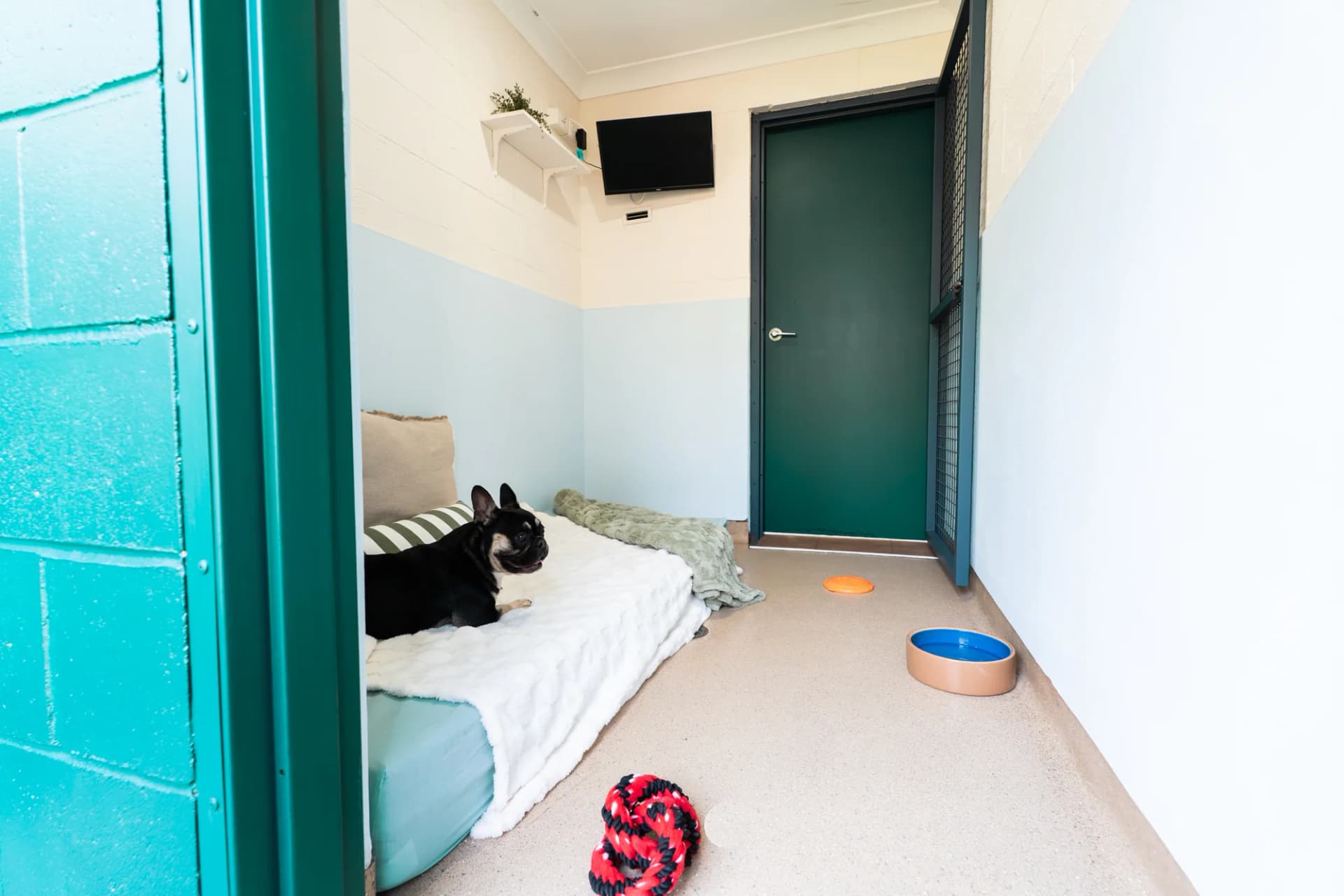 Luxury Villa image 3