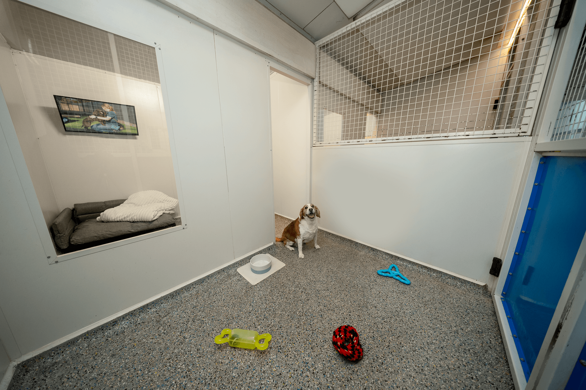 Suite image 1