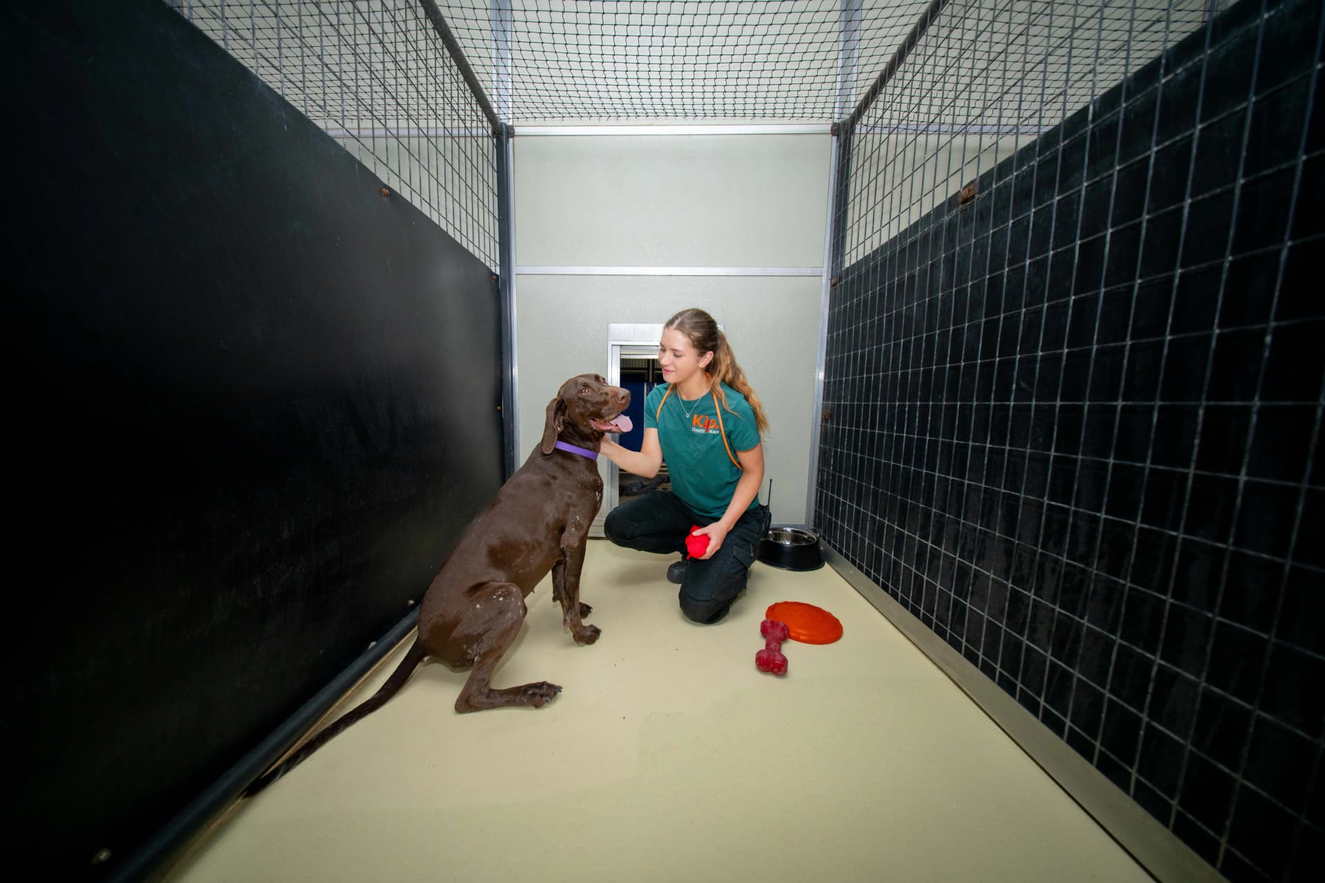 Studio Suite image 2