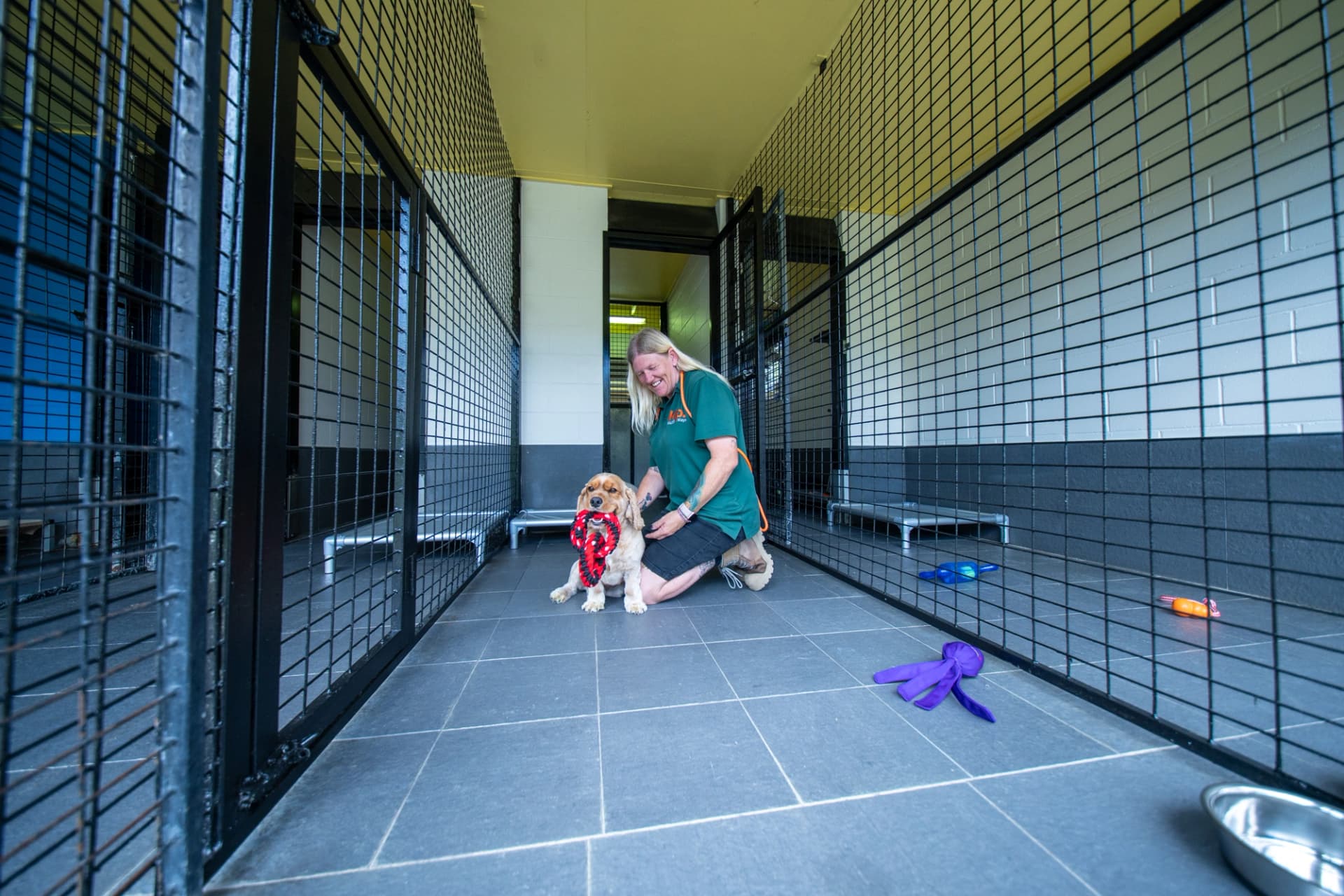 Classic Room (Doggy Dorm) image 2