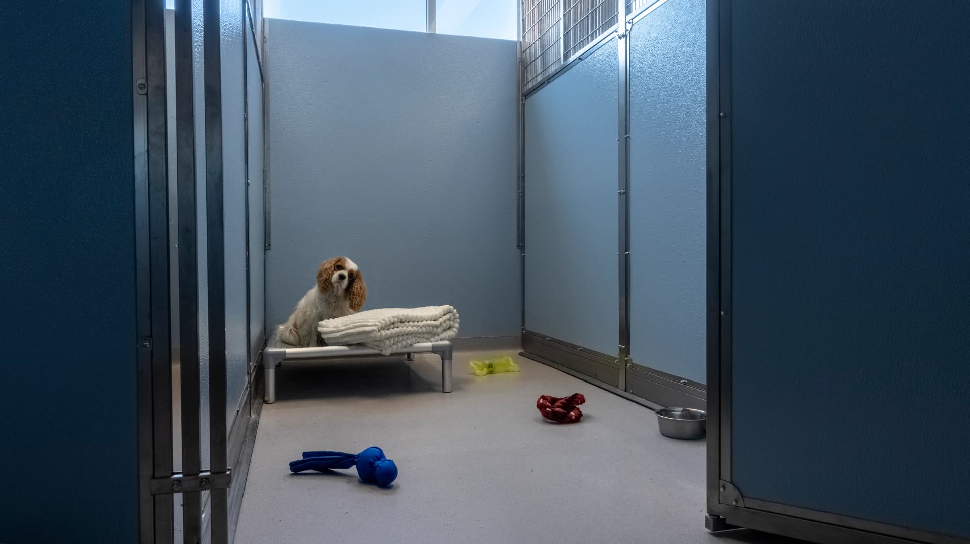 Classic Room image 1