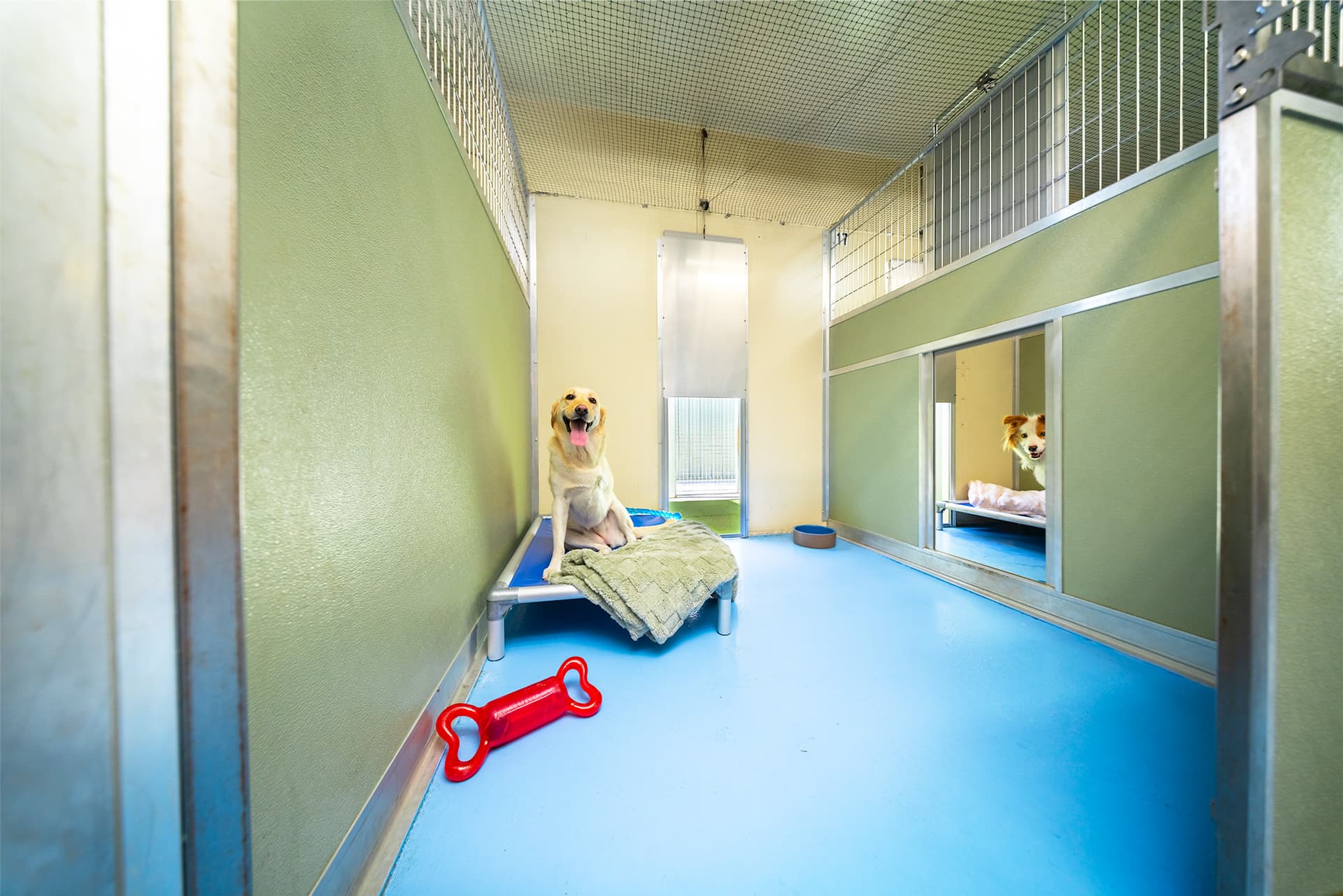 Classic Room (standard) image 3