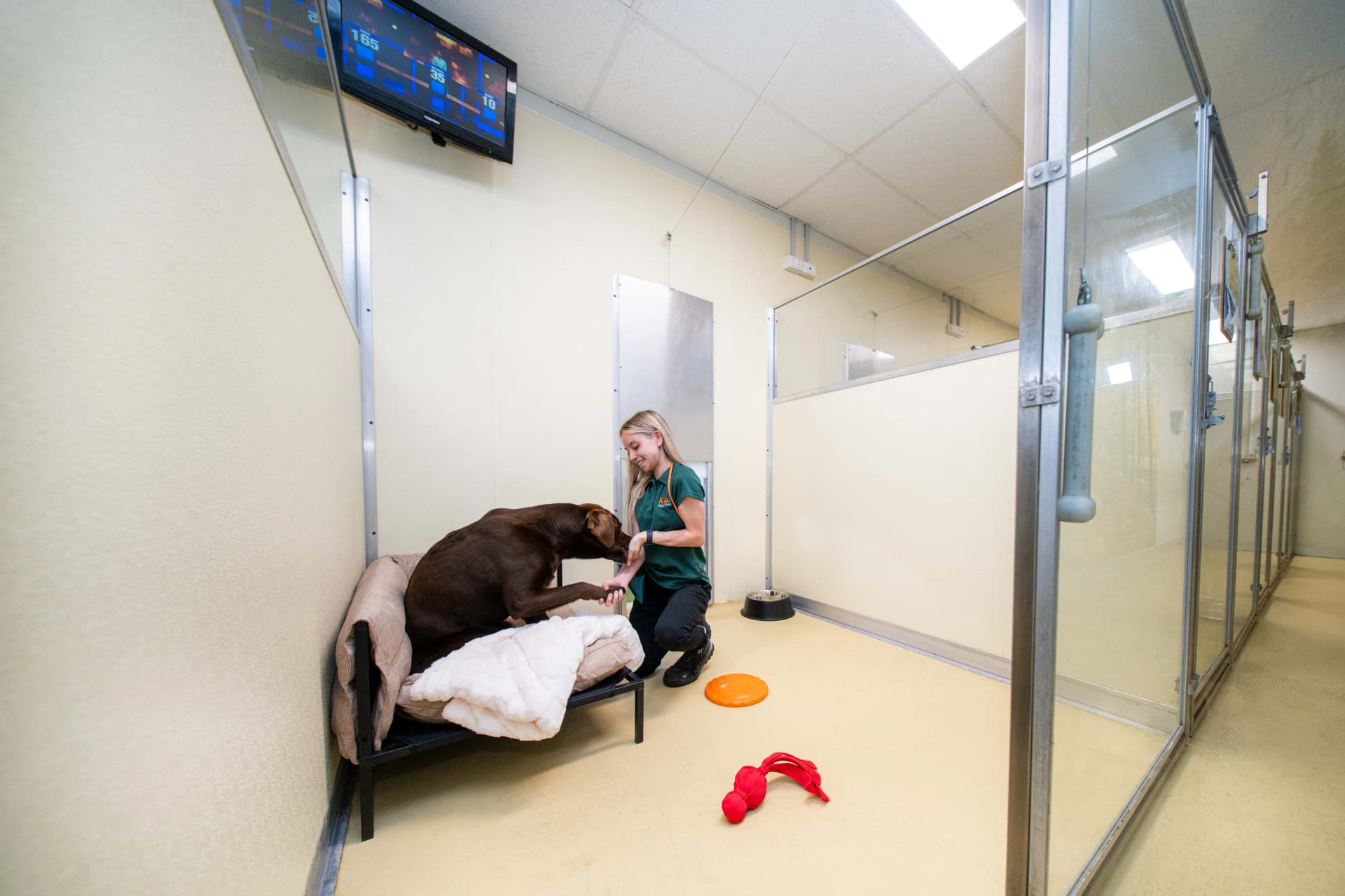 Penthouse Suite image 2