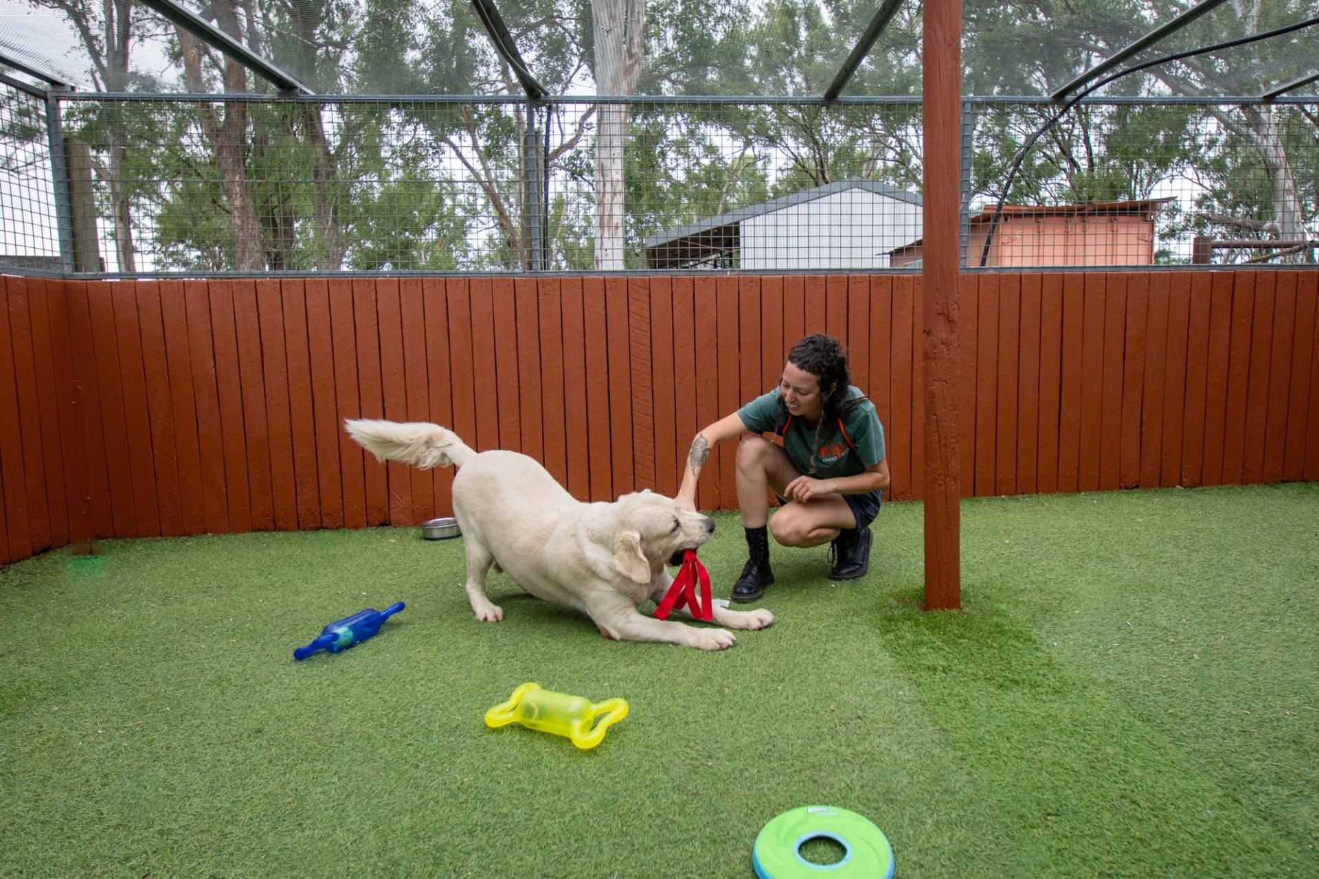 Luxury Villa (Resort Room) image 2