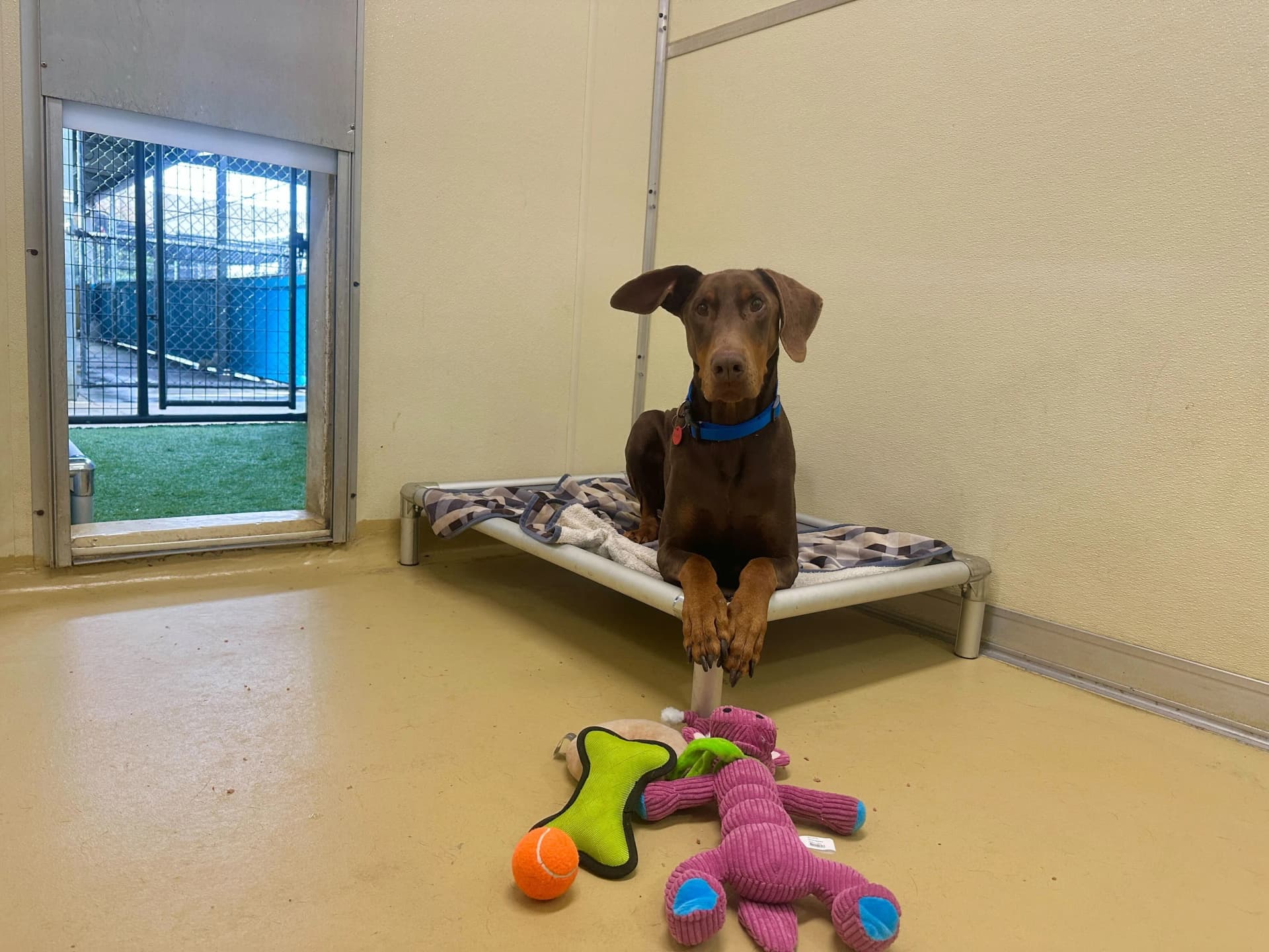 Penthouse Suite image