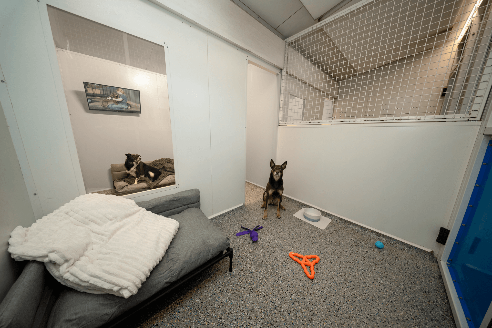 Suite image 4