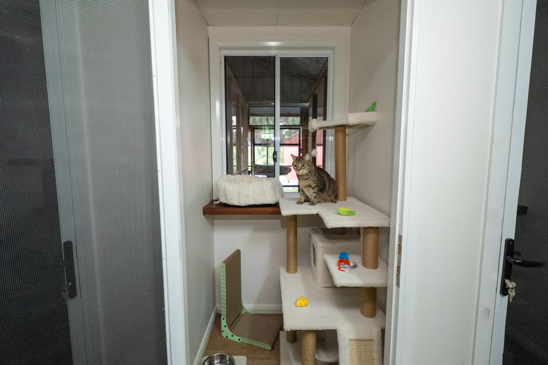 Penthouse Suite image 1