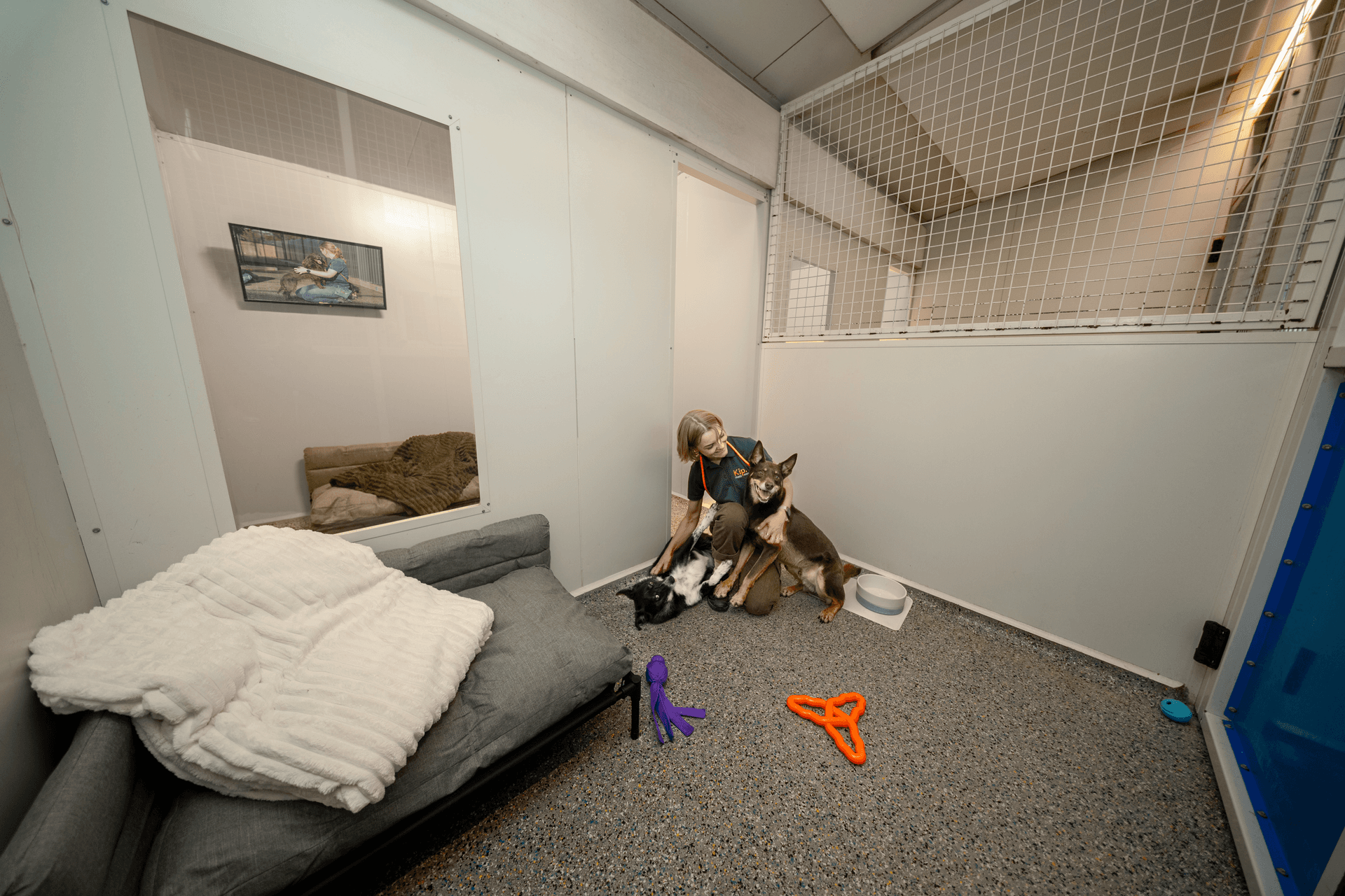 Suite image 3