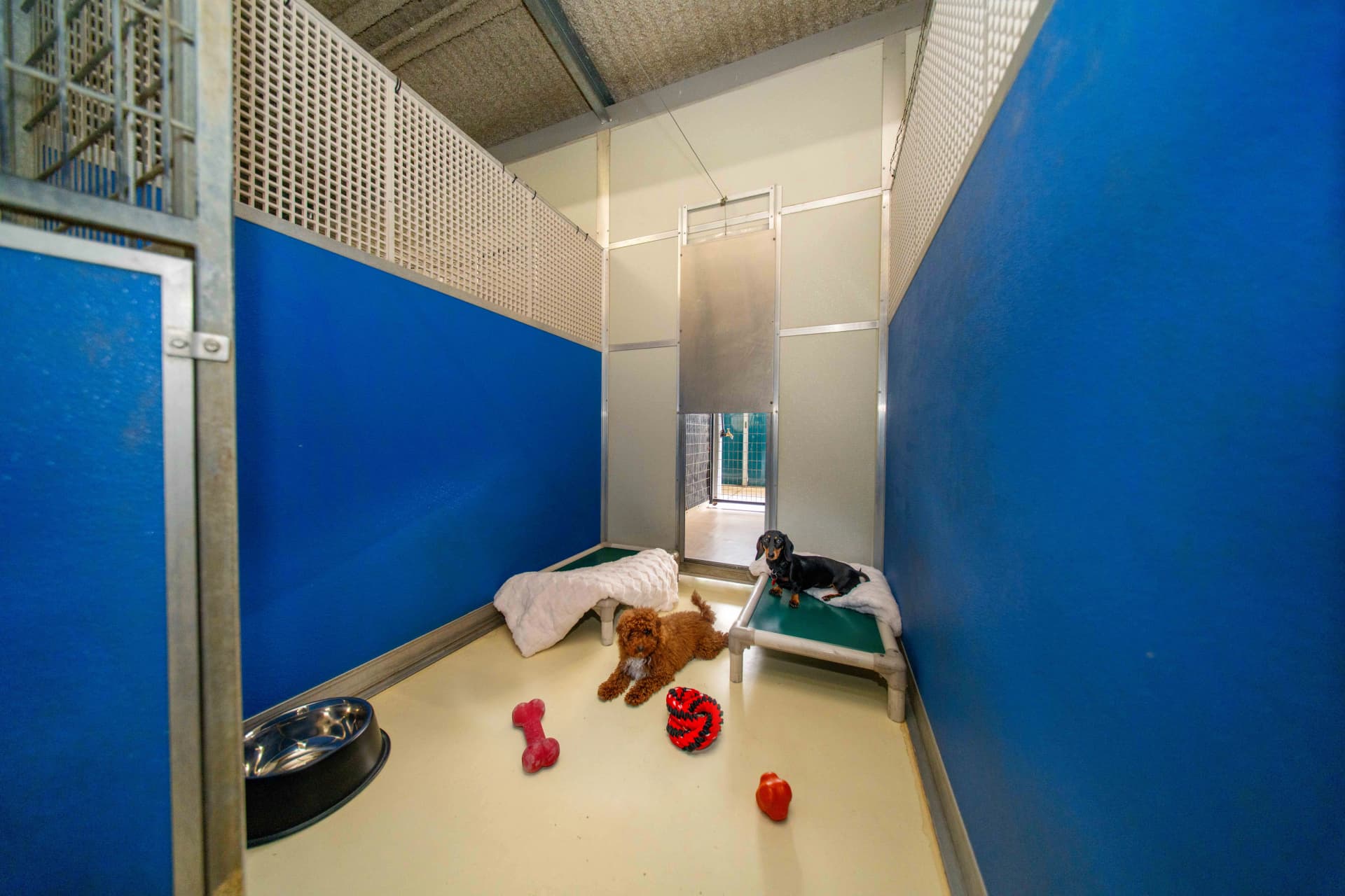 Studio Suite image 3