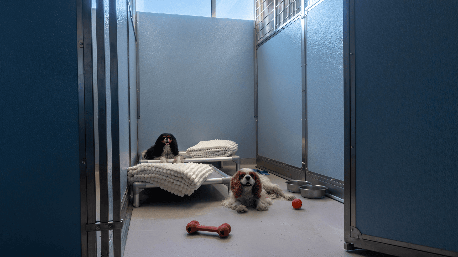 Classic Room image 3