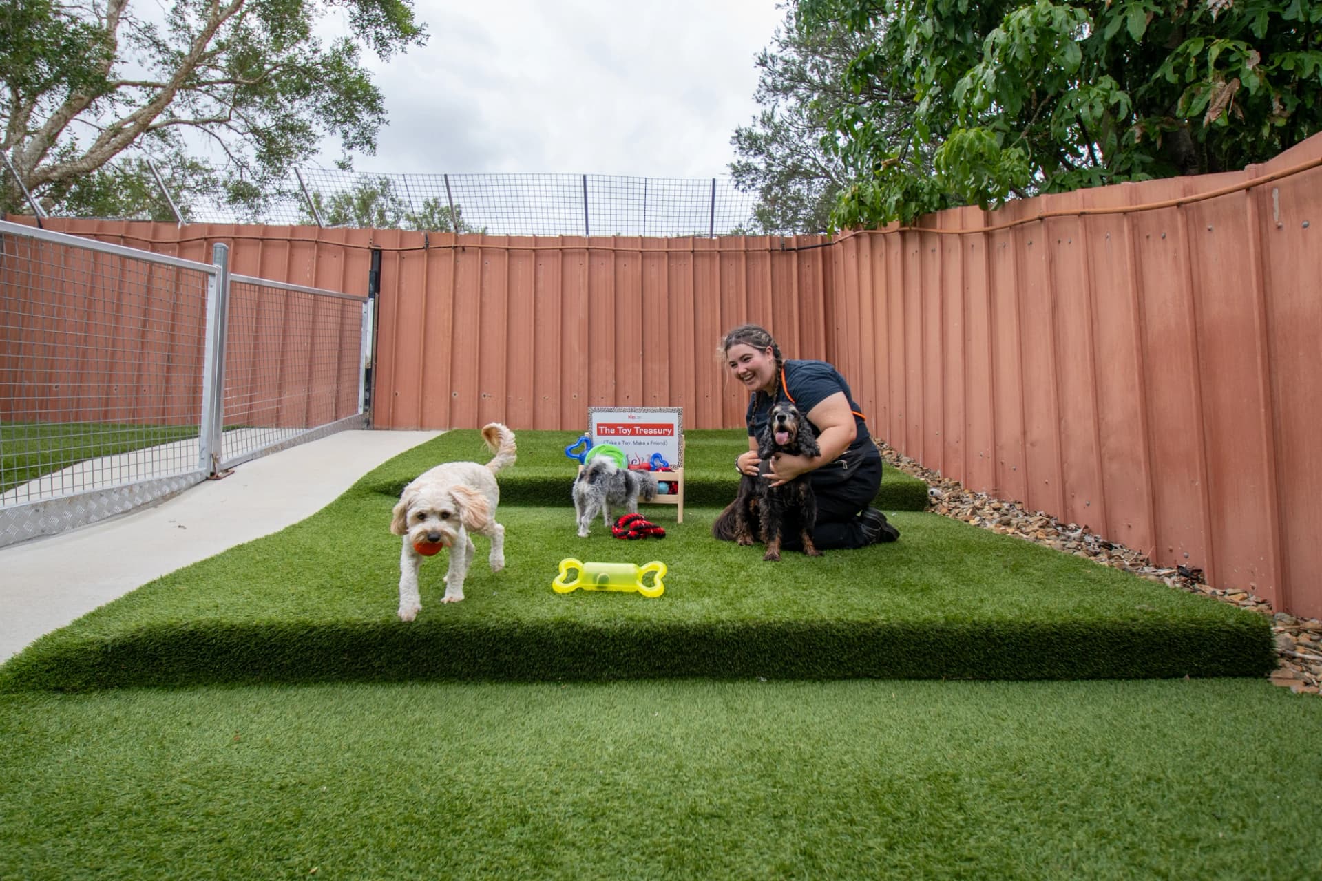 Little Dog House image 3