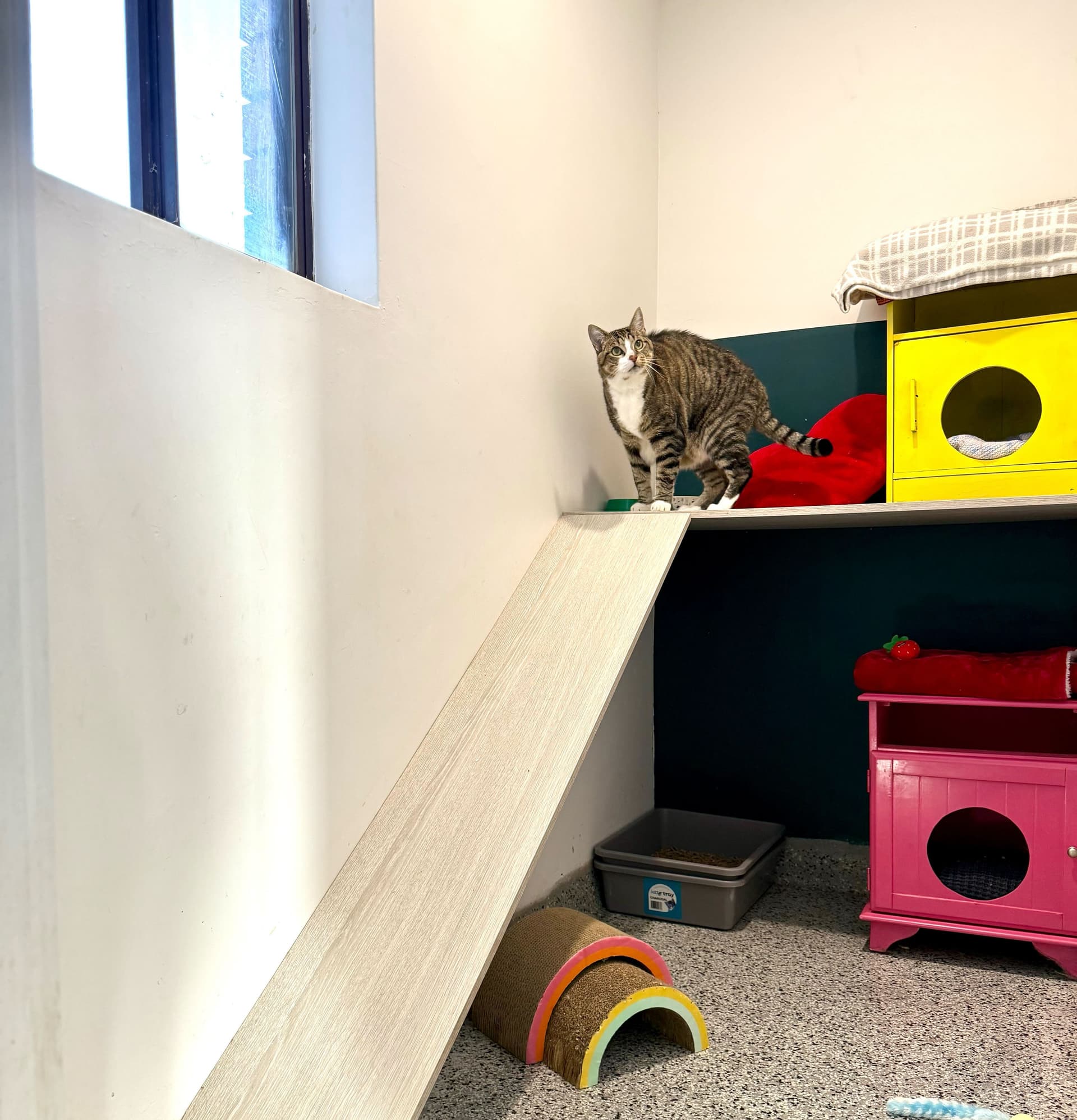 Penthouse Suite image