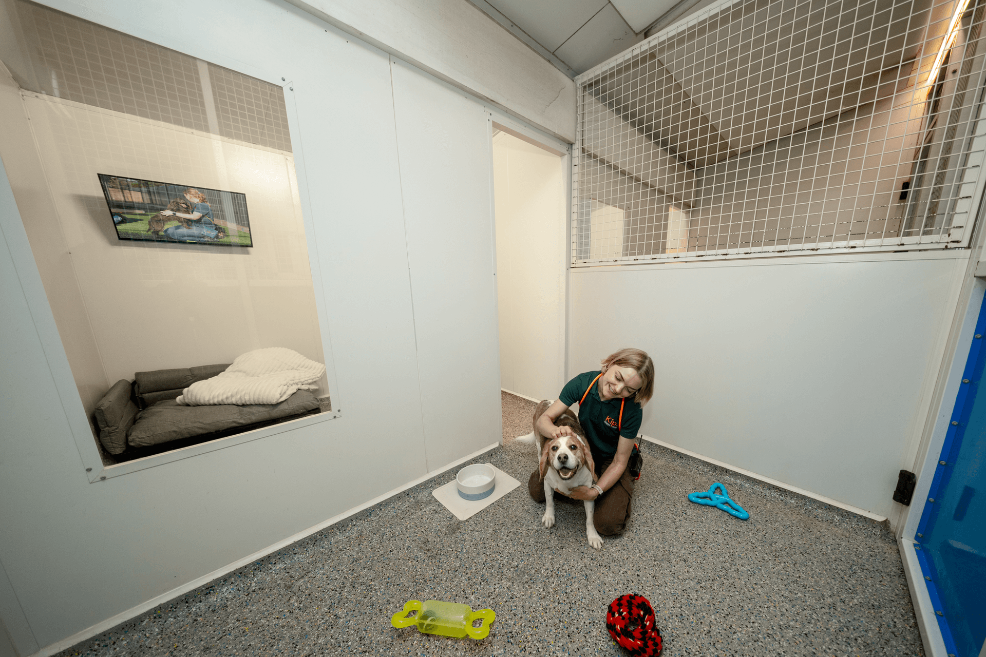 Suite image 2