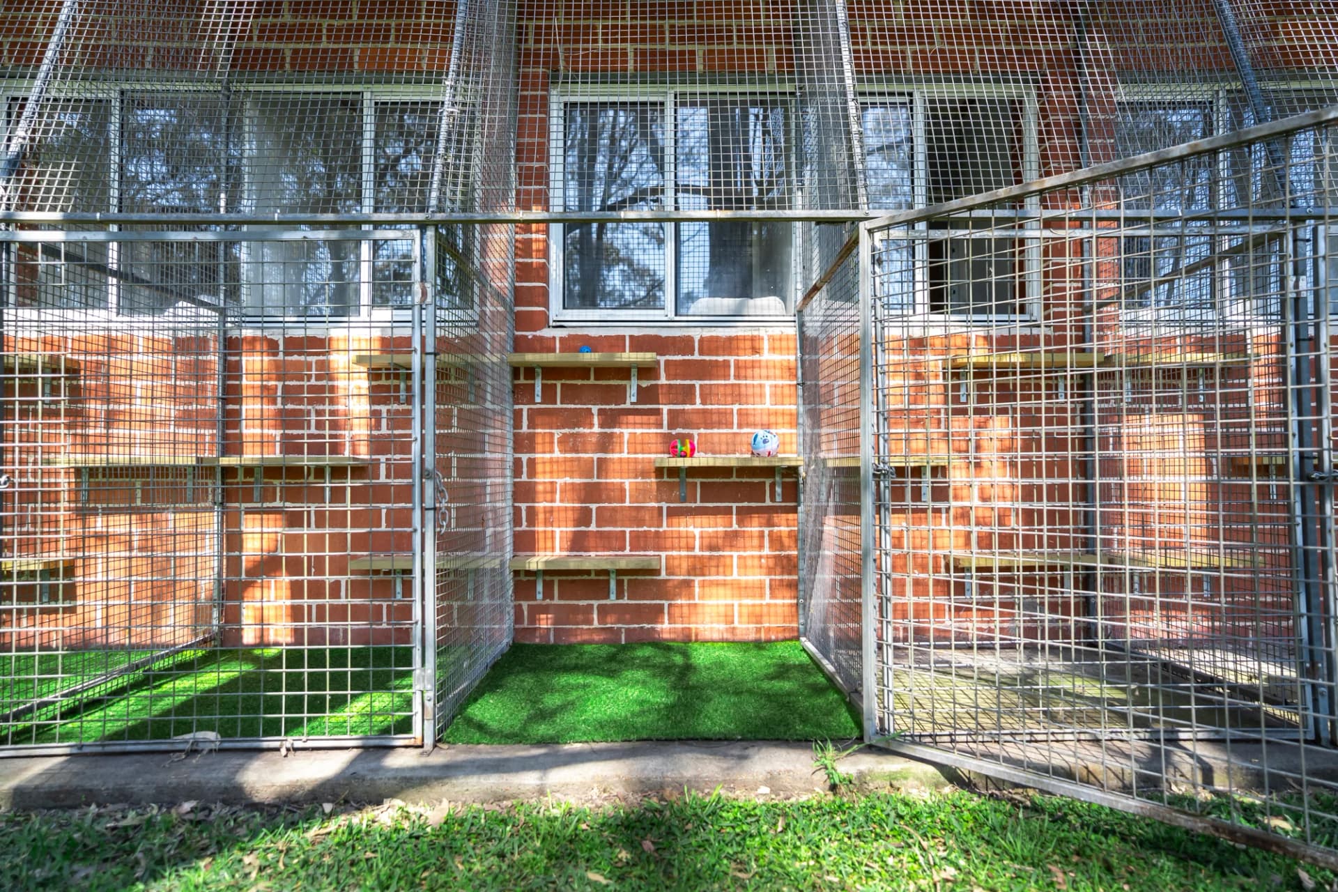 Classic Cat Room image 4