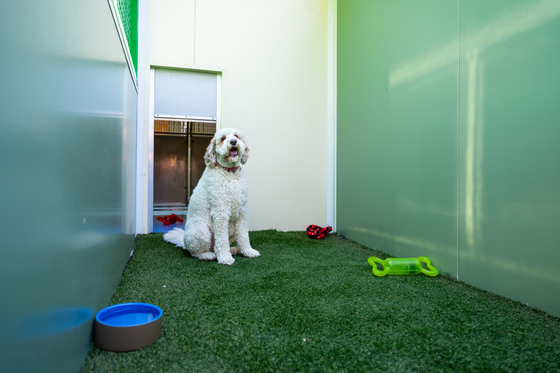 Classic Room (standard) image 2