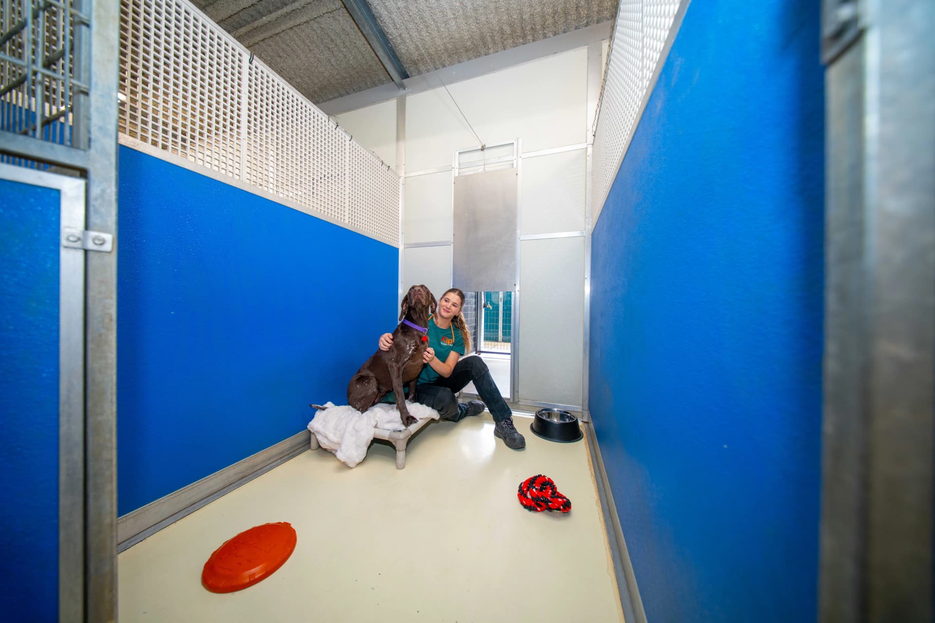 Studio Suite image 1