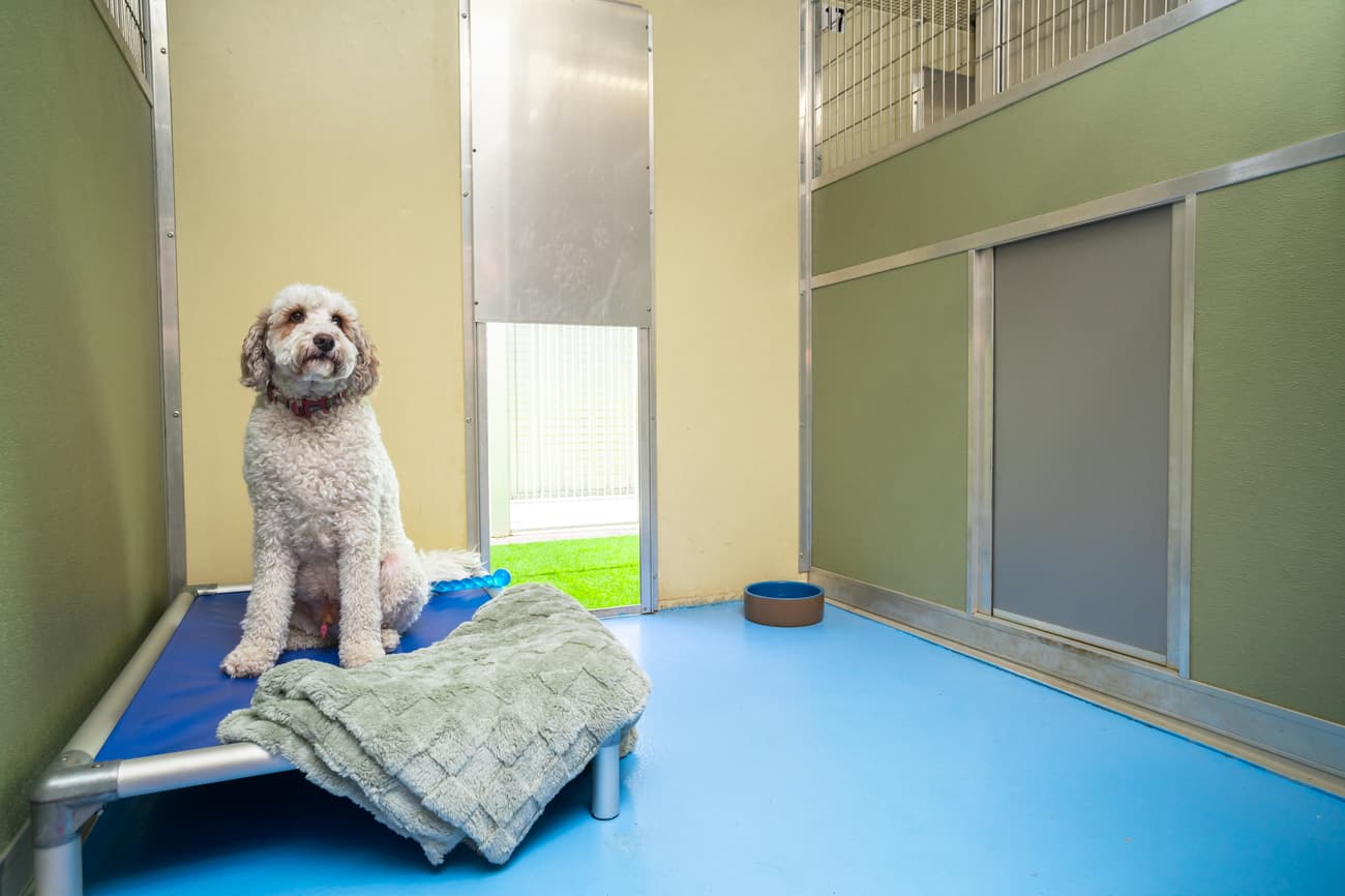 Classic Room (standard) image