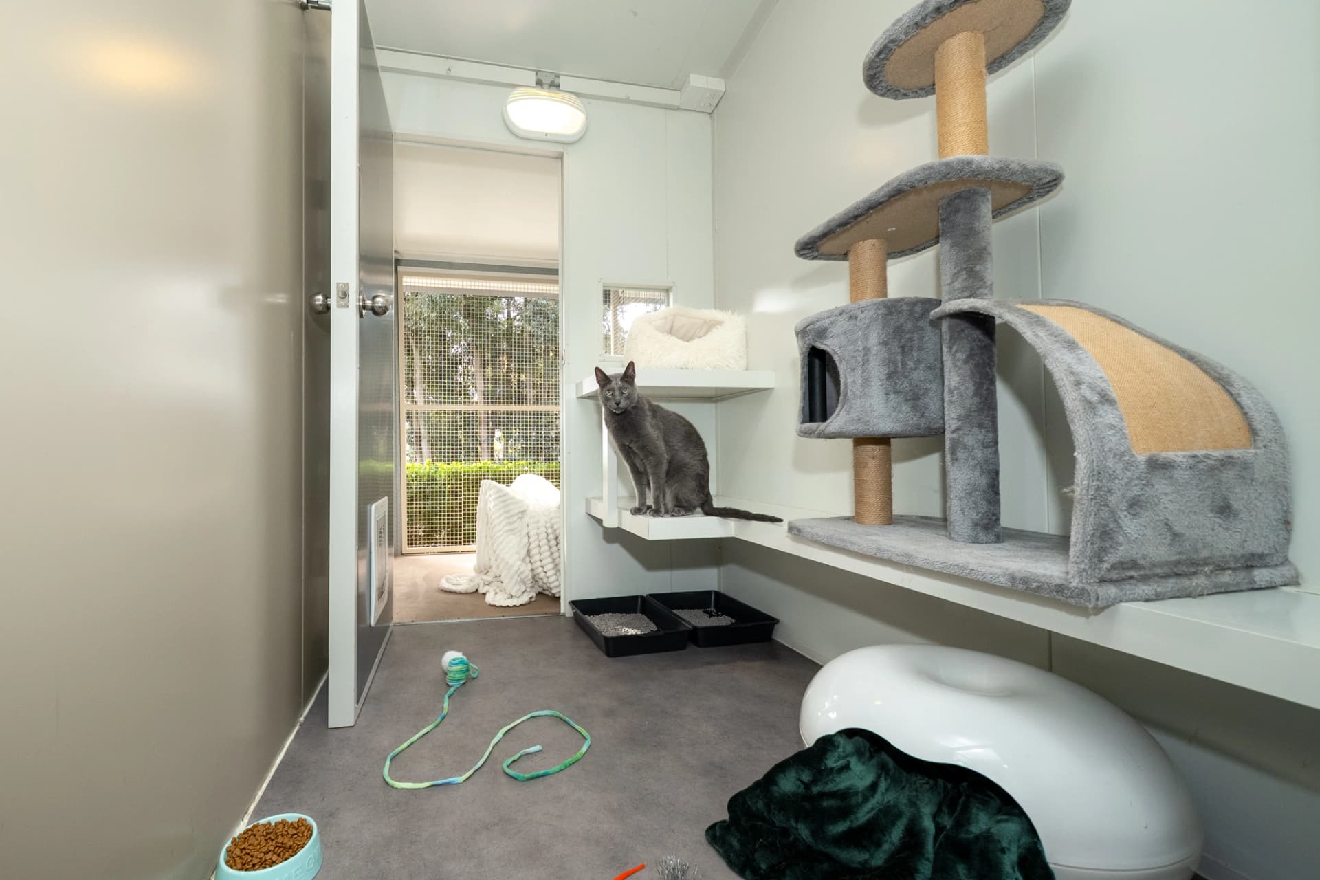 Cat Villas image 1