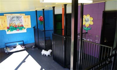 Lil' Doggy Fun House image 3