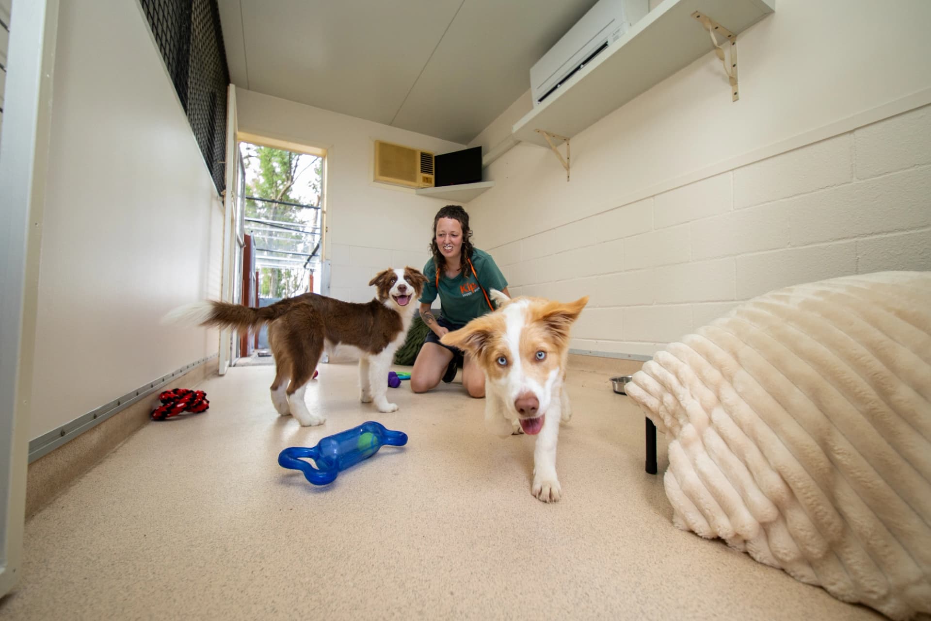 Luxury Villa (Resort Room) image 3