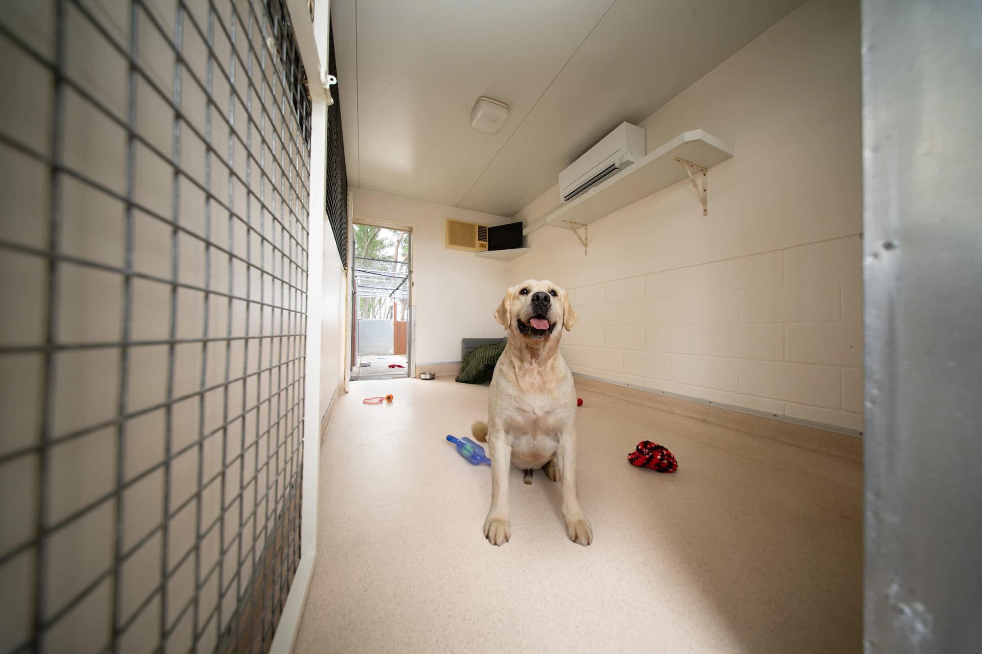 Luxury Villa (Resort Room) image 1