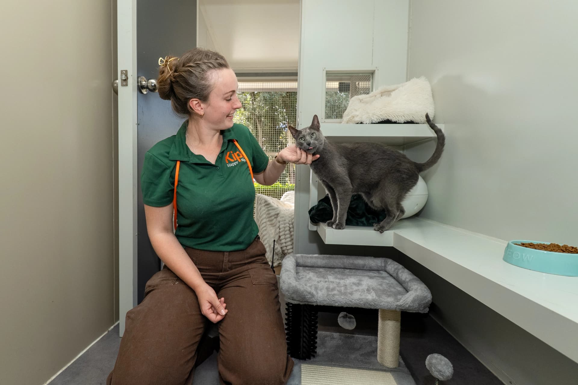 Cat Villas image 3