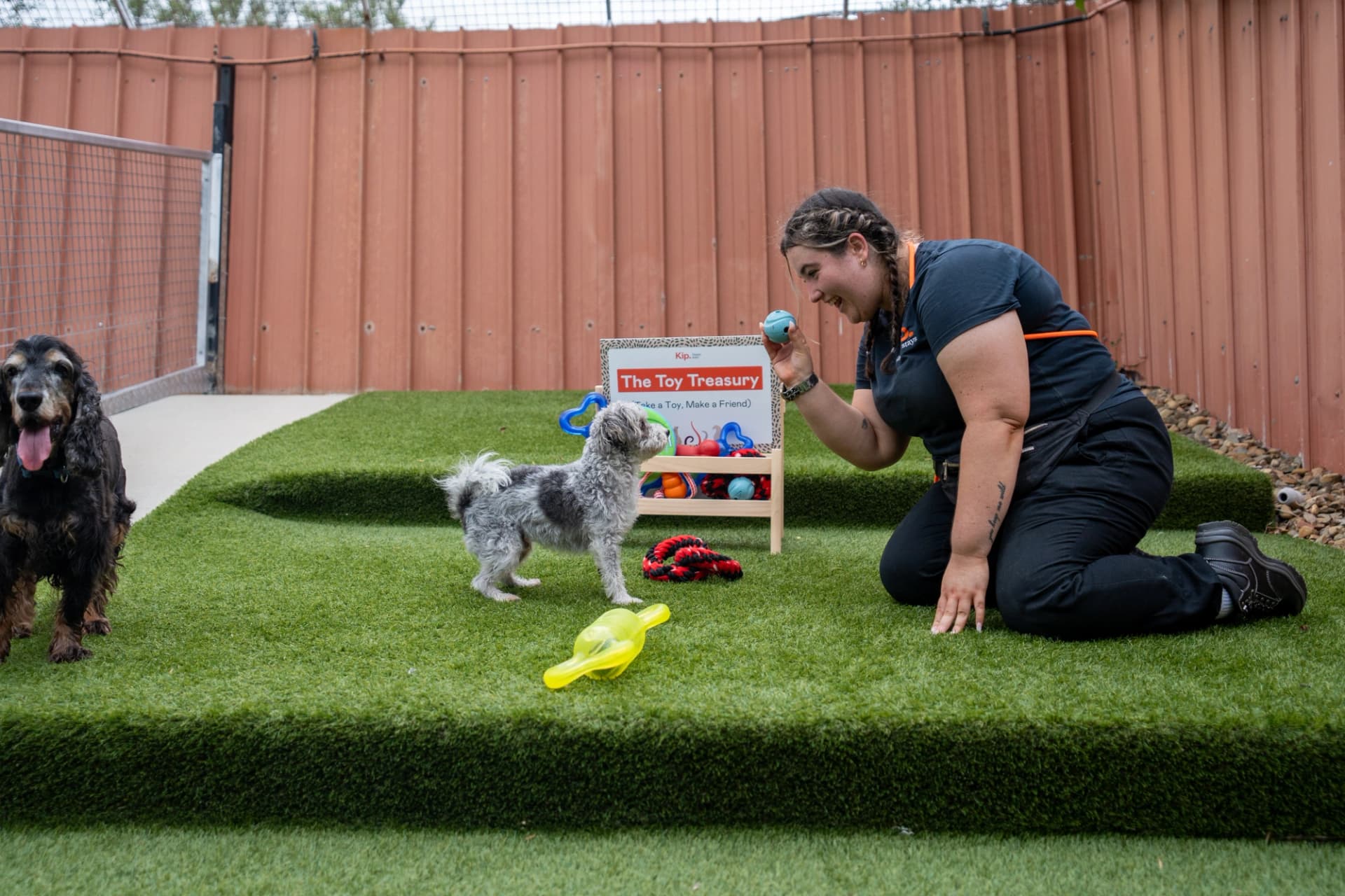 Little Dog House image 4