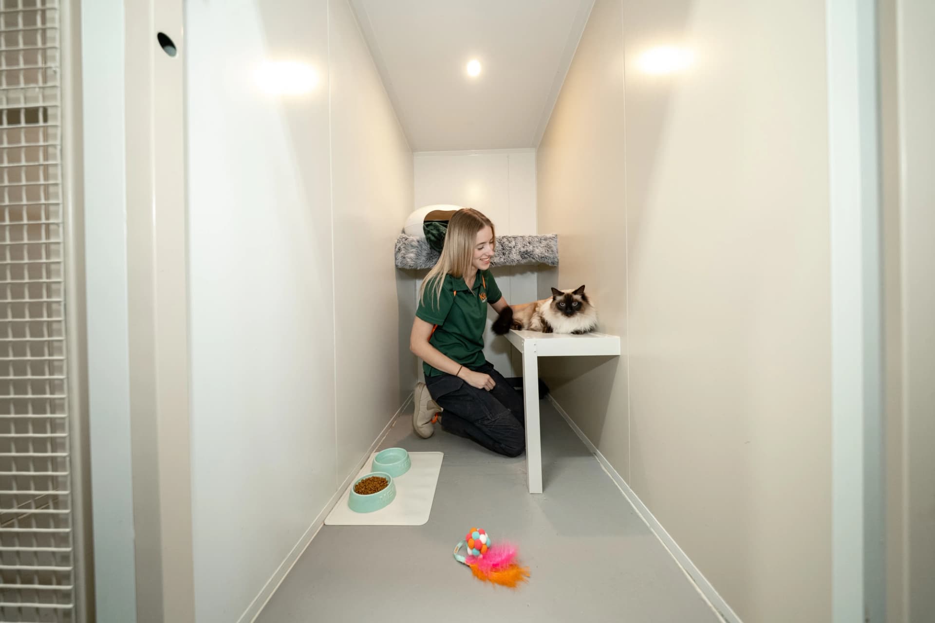 Classic Cat Room image 1