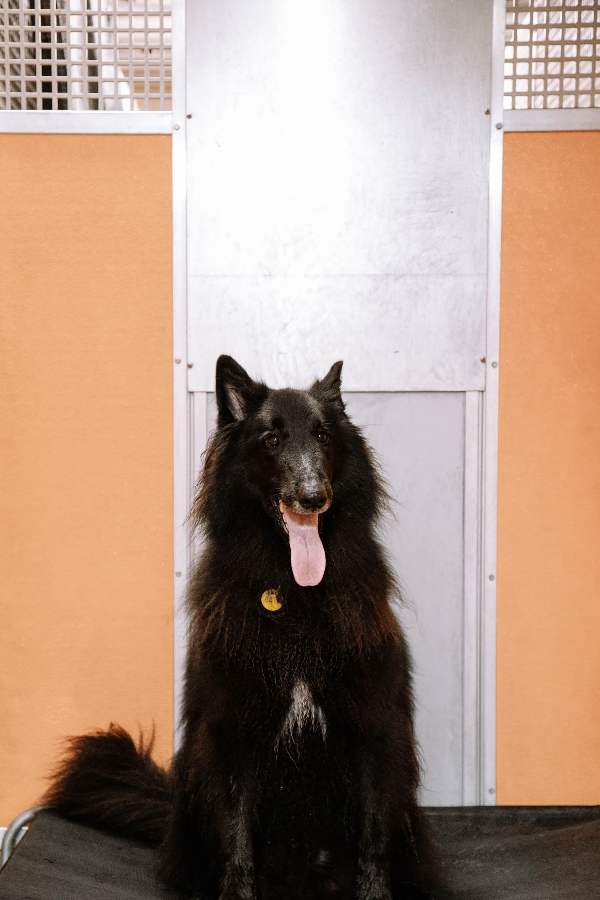 Classic Room (standard) image