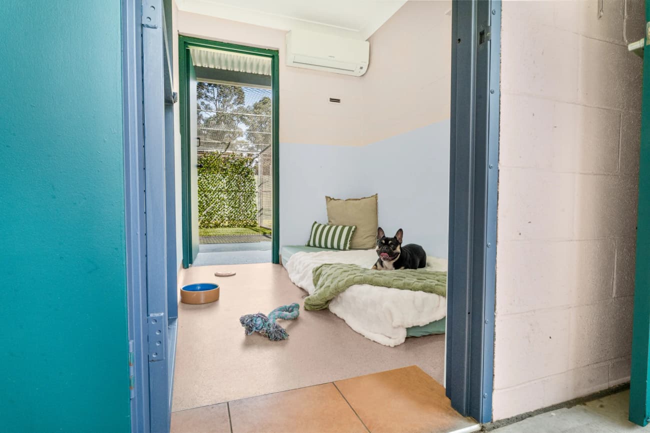 Luxury Villa image 1