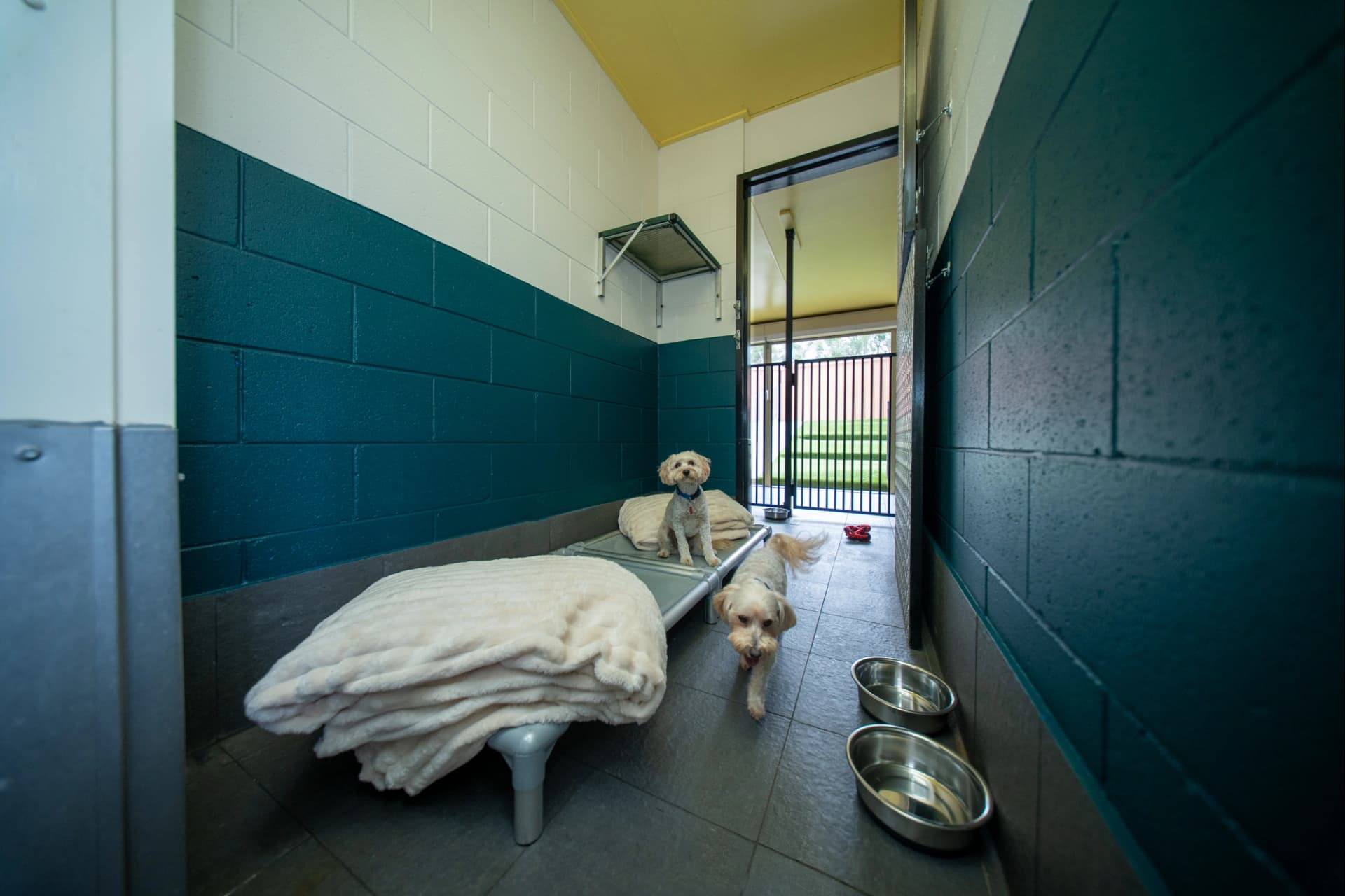 Little Dog House image 1