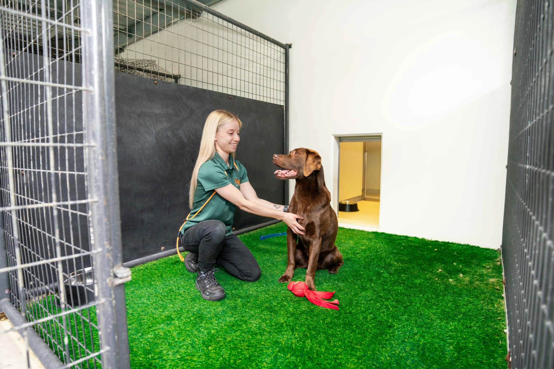 Penthouse Suite image 3